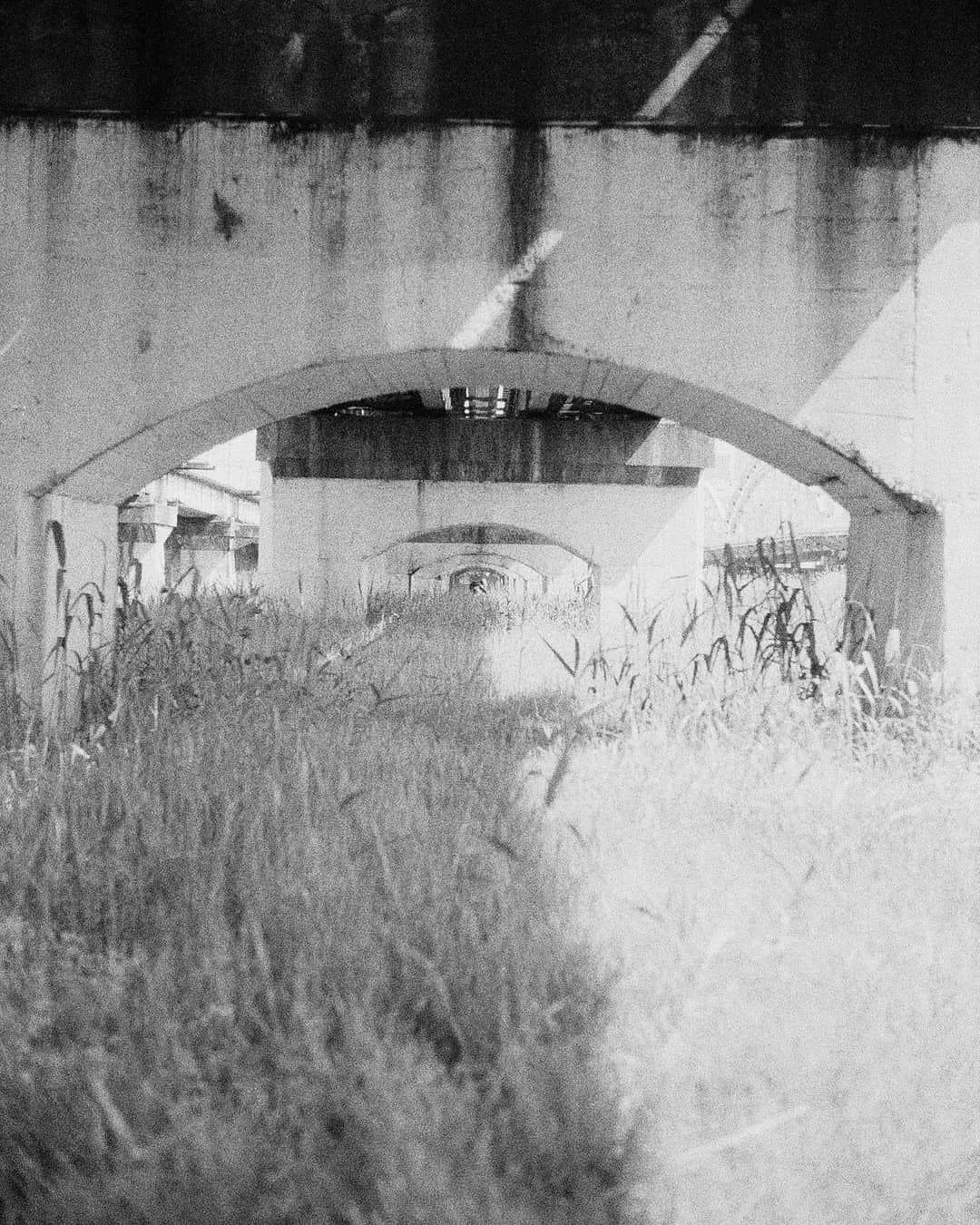 島田大介のインスタグラム：「気づいたらお久しぶり  #leicaphotography  #ilfordhp5」
