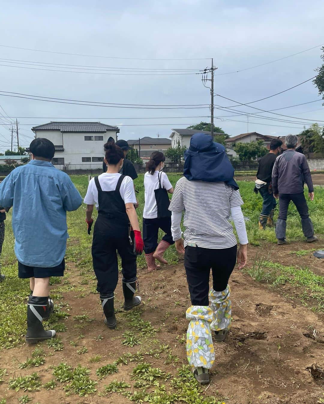 桐山マキさんのインスタグラム写真 - (桐山マキInstagram)「. . . Organic vegetables🥕🥬🧅🥔 @ecafarm 🍆🍅🧄  都内から 一時間で行ける場所に 肥料から手作りの無農薬栽培野菜を大切に栽培している農場があり @ponpon_marcy  と 新鮮なお野菜の収穫体験に行ってきました🍅  @familymart.japan さんがされてる @ecafarm  SDGSの 誰一人とりのこさないを実行し 障がいのある方の雇用を行い 皆、イキイキとお仕事されてました。  新鮮野菜を 収穫しながら 農薬だの何だの全く心配なく もぐもぐ食べれるなんて 貴重な体験🥹  こんなに 身体に優しい野菜達を食べれたら 身体はイキイキ元気だろうなぁ💪 エカファームさんの無農薬野菜は 直売されていて 近くのファミマでも買えたりするそう🍅🥬🍆  絶対また行きたい♡  ご一緒した　@shogo_velbed さんは自分の畑をお持ちで オシャレ畑雑誌を発行されてます🙏  #japan #chiba #ecafarm #familymart #organic  #organicveggies  #ファミリーマート #エカファーム #無農薬栽培 #収穫体験 #美味しい野菜 #都内から一時間 #直売してるよ #🍅」6月6日 10時12分 - maki_kiriyama