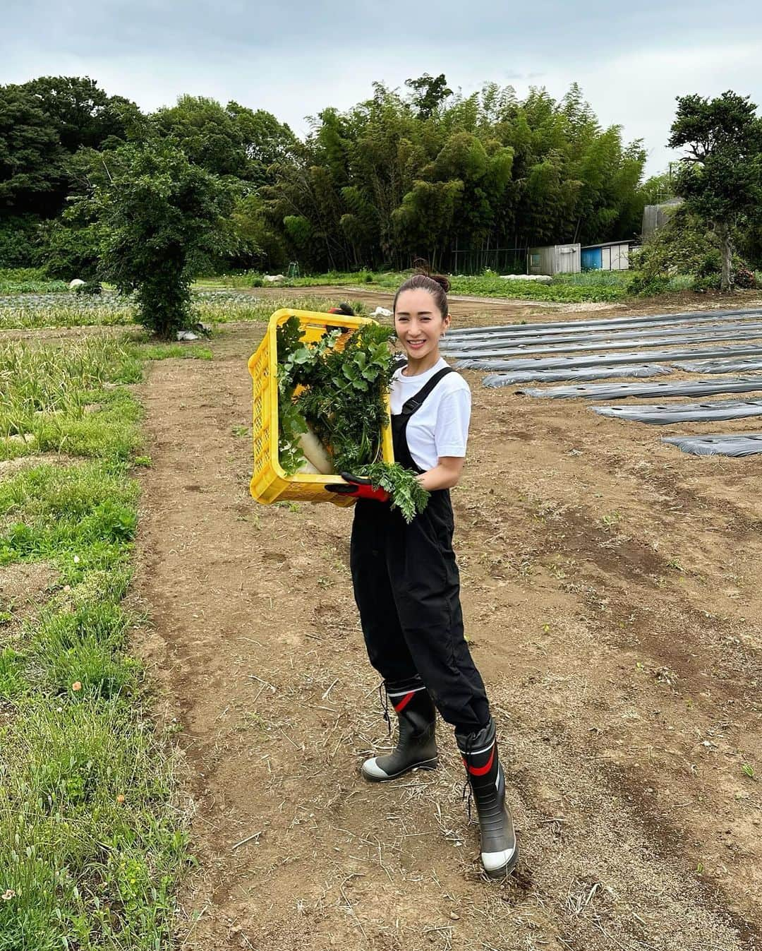 桐山マキさんのインスタグラム写真 - (桐山マキInstagram)「. . . Organic vegetables🥕🥬🧅🥔 @ecafarm 🍆🍅🧄  都内から 一時間で行ける場所に 肥料から手作りの無農薬栽培野菜を大切に栽培している農場があり @ponpon_marcy  と 新鮮なお野菜の収穫体験に行ってきました🍅  @familymart.japan さんがされてる @ecafarm  SDGSの 誰一人とりのこさないを実行し 障がいのある方の雇用を行い 皆、イキイキとお仕事されてました。  新鮮野菜を 収穫しながら 農薬だの何だの全く心配なく もぐもぐ食べれるなんて 貴重な体験🥹  こんなに 身体に優しい野菜達を食べれたら 身体はイキイキ元気だろうなぁ💪 エカファームさんの無農薬野菜は 直売されていて 近くのファミマでも買えたりするそう🍅🥬🍆  絶対また行きたい♡  ご一緒した　@shogo_velbed さんは自分の畑をお持ちで オシャレ畑雑誌を発行されてます🙏  #japan #chiba #ecafarm #familymart #organic  #organicveggies  #ファミリーマート #エカファーム #無農薬栽培 #収穫体験 #美味しい野菜 #都内から一時間 #直売してるよ #🍅」6月6日 10時12分 - maki_kiriyama