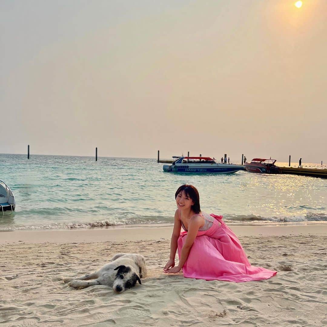 大川成美さんのインスタグラム写真 - (大川成美Instagram)「海が好き。 ． 野良犬ちゃんと。 ． ．」6月6日 12時26分 - naru_coco