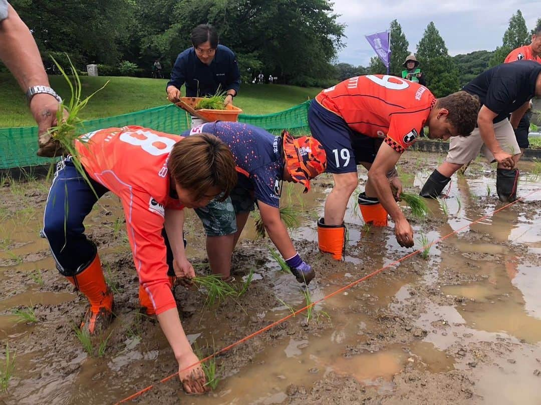 有吉佐織さんのインスタグラム写真 - (有吉佐織Instagram)「🌾🍚🌾🍚  日曜日は大宮第二公園で 田植えをしてきました🌾 小学生ぶりの田植えで なかなか足が抜けなかったり 大変な部分もありましたが 小学生にアドバイスもらいながら 楽しくできました🌾  普段から当たり前のように食べているお米だけど 田植えしてくれている方々がいてこそだし あらためてご飯のありがたみを感じました🍚  次は収穫なので自分たちで植えたお米を 収穫して食べるの楽しみです🌾  参加してくれた皆さん 田植えの準備をしてくれた造園の皆さん ありがとうございました！！  #大宮アルディージャventus  #大宮アルディージャ #大宮第二公園 #田植え」6月6日 13時35分 - ariyoshisaori_1101