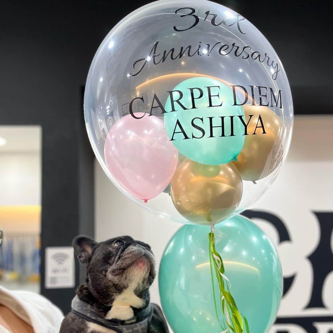 RIKAPEPEのインスタグラム：「女将です。  本日6/6でカルペディエム芦屋は3周年を迎えます。  日々、皆さんに支えられ、歩んでこれました。  日頃よりご愛顧賜り、ありがとうございます。  毎日が 物語の1ページのようで 歩み続けた年月が まるで分厚い一冊の本のよう そんな濃い人生です📕  道場の年月を 少し振り返ってみますと...  ✼••┈┈┈┈••✼••┈┈┈┈••✼  ●2020年 コロナ禍で世の中が未曾有の中、ご縁をいただいた会員様である芦屋スポーツ整形外科クリニックの北山医院長 @ashiya_shoulder のリハビリスペースをお借りしての営業開始できることに😭  東京から、タツノスケがついて来てくれて、大将・女将・タツノスケ・ウナギ会長でスタート。 @masahirocdbjj  @tatsucdbjj  @frenchbulldog_unagi   営業終了後に、皆さんにお手伝いいただきながら、マットを準備したり。クラス終わった後に会員様とお喋りするのも楽しかったです🙇‍♀️  年末の移転オープンに向けては、芦屋道場の会員様である古川さんに施工・勇平さんにデザインをお願い出来まして、身に余る程の素敵な道場を構えさせていただきました🥹 ＊古川工務店様　@micchiiii32  ＊SWELL様　@yuheiii   ✼••┈┈┈┈••✼••┈┈┈┈••✼  ●2021年 新道場に移りましたが、緊急事態宣言下、不安の多い毎日で、その度に、皆さんの励ましやお力添えがあり、今の芦屋道場を構える事が出来ました🙇‍♀️  お弟子さんにあたる、虎太郎君 @tamekota や福島君 @seiyacdbjj が加入してくれて、今のDEEP HALF CLUBというカタチになりました🦀 キッズクラスも徐々に人数が増えてきて、試合にチャレンジをするキッズや大人の会員さんがチラホラ出て来ました👏🏻凄い。  ✼••┈┈┈┈••✼••┈┈┈┈••✼  ●2022年 YouTube登録者数達成を記念して、クジラが加入🐳 街でもYouTube観てます！と声を掛けていだけく事が多くなりました🥹 お弟子さん達が大会でもどんどん結果を出して、少しづつプロ興行にも呼んで頂けるように👏🏻 そして、会員さんもキッズも、大会でも勝てるチームになってきました👏🏻🥇 初の団体戦にも出場させて頂き、芦屋道場というチーム感が、より強さを引き上げてくれているような。結果が少しづつ出て来た一年。年末は何故か、蟹漁がブームに🦀😂  ✼••┈┈┈┈••✼••┈┈┈┈••✼  ●2023年 会員さんも少し増えて、ビギナークラスが新設されました🔰一方で、初試合に挑戦する会員さんが増えてきた印象。チャレンジされる姿が眩しいです🤲 お弟子さん達は結果を出し、全員が茶帯に😭初の世界大会に出場する選手も👏🏻 DHCから世界を目指す選手が現れました🌍🥇 現役時代、大将が歩んできた茨の道を、これから歩む若者が出て来たこと🌱 日々、人間の成長を目の当たりにして、感動させられる毎日です。ありがとうございます。  ✼••┈┈┈┈••✼••┈┈┈┈••✼  今後も、創業者がおつくりになられた【カルペディエム 今を生きろ】 @carpediembjj_official という精神を関西に広め、皆様の人生をより豊かにできる道場になるよう頑張って参ります。  今後とも宜しくお願い致します🙇‍♀️」