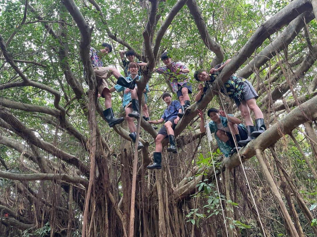 樋口裕希のインスタグラム：「・ 沖縄漢気の旅 Part2 #ガジュマルに登る大男たち #これ写真じゃ伝わらないけど #まぁまぁ高いよ #みんな登れたよ  ・ #樋口裕希 #バレーボール」