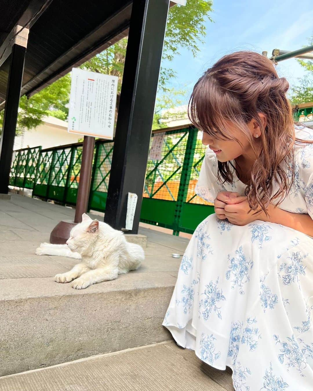 藤井由依さんのインスタグラム写真 - (藤井由依Instagram)「.  にゃんこ🐱  1度も目は合わせてくれなかった🐱」6月6日 13時59分 - fujii_yui_777