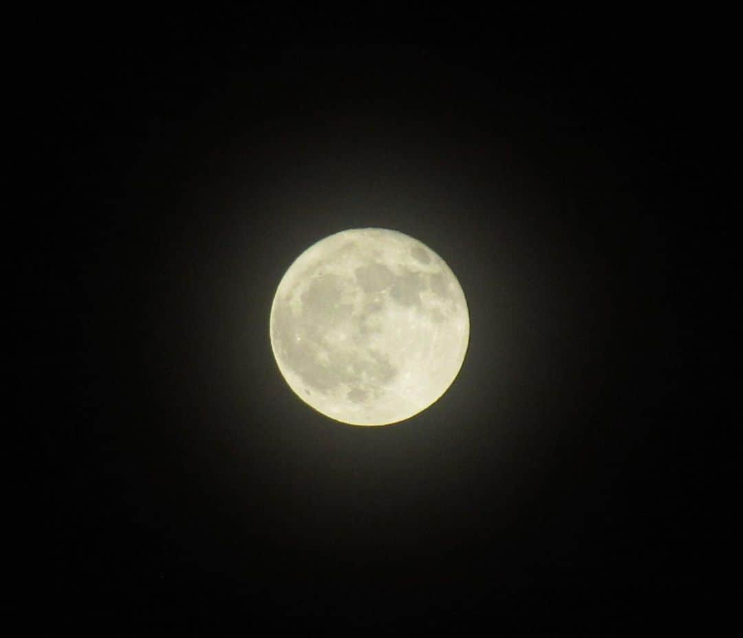 石川さゆりのインスタグラム：「見えますか　この月が♪  6月の満月🌕 ストロベリームーン 一昨日の夜深く、さゆりさんも空を見上げていました。  今夜はNHKうたコンで、『約束の月』を歌います。ご覧くださいませ☺️  2023年6月6日（火）19:30〜20:42 NHK総合「うたコン」  スタッフM  #石川さゆり #sayuriishikawa #満月 #ストロベリームーン #NHK #うたコン #ちょっと気になる」