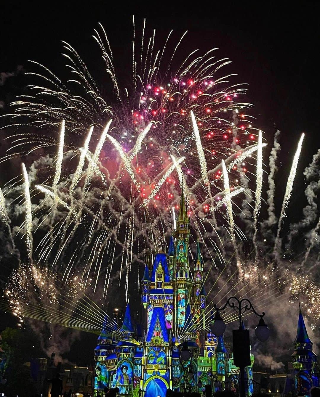 Jonas Sulzbachさんのインスタグラム写真 - (Jonas SulzbachInstagram)「Que lugar mágico 🎆 Especial demais @disneyworld.brasil」6月7日 0時15分 - jonassulzbach