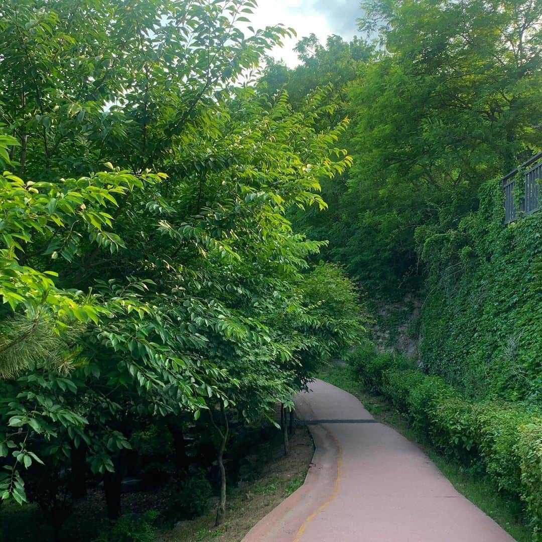 ドヒさんのインスタグラム写真 - (ドヒInstagram)「푸릇푸릇 살랑살랑 페이보릿 시즌💚⛰️🌿🌳🫧」6月7日 0時46分 - mdh0925_