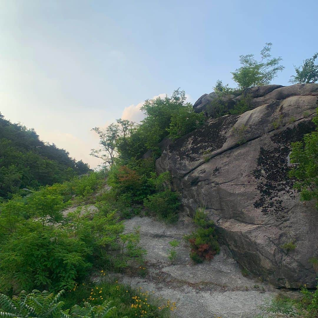 ドヒさんのインスタグラム写真 - (ドヒInstagram)「푸릇푸릇 살랑살랑 페이보릿 시즌💚⛰️🌿🌳🫧」6月7日 0時46分 - mdh0925_