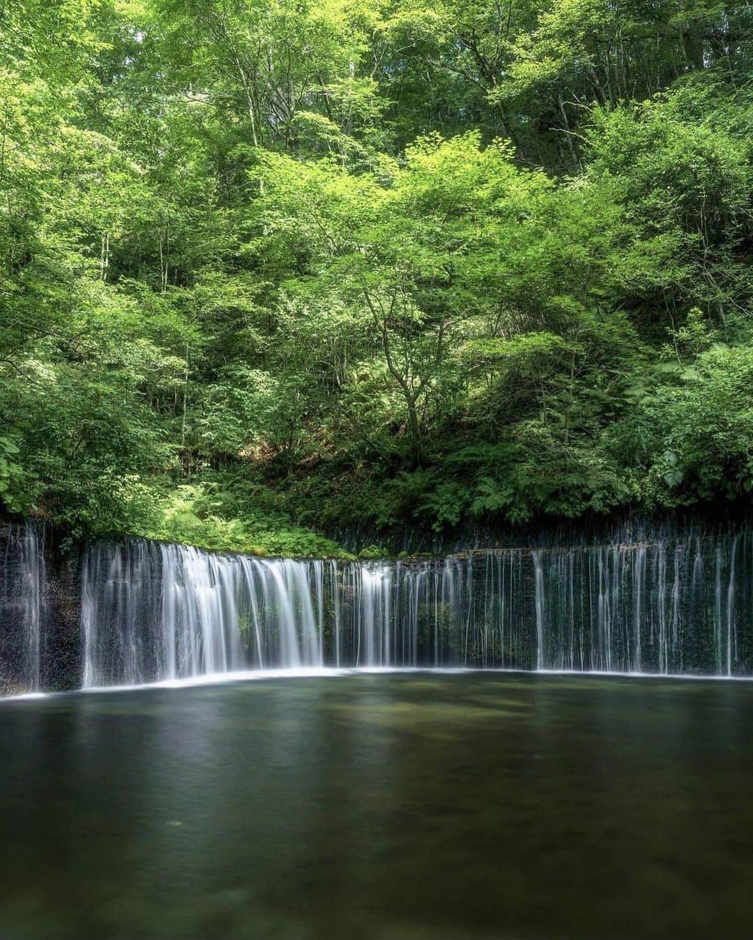 ?長野県 観光 公式インスタグラム さんのインスタグラム写真 - (?長野県 観光 公式インスタグラム Instagram)「// Photo by @washima12  Shiraito Falls (Karuizawa Town)  Water flows like strands of white silk at Shiraito Falls.  With a graceful arching form, this waterfall is a popular spot to enjoy the scenery and take in the cool air and calming sights and sounds.  Wouldn’t you like to visit this natural oasis in Karuizawa?  ＝＝＝＝＝＝＝＝＝  マイナスイオンたっぷり 「白糸の滝」 ＠軽井沢町  白糸のように水が 幾重にも降り注ぐ「白糸の滝」  湾曲したフォルムが美しく 癒しと涼を感じられる人気スポットです📷✨️  思わず深呼吸したくなる光景を 見に訪れてみませんか？😀✨️  ＿＿＿＿＿＿＿＿＿　  Location / Azumino City , Nagano , Japan   #shiraitofalls #karuizawa #karuizawatown #長野のいいところ」6月6日 17時00分 - nagano_japan