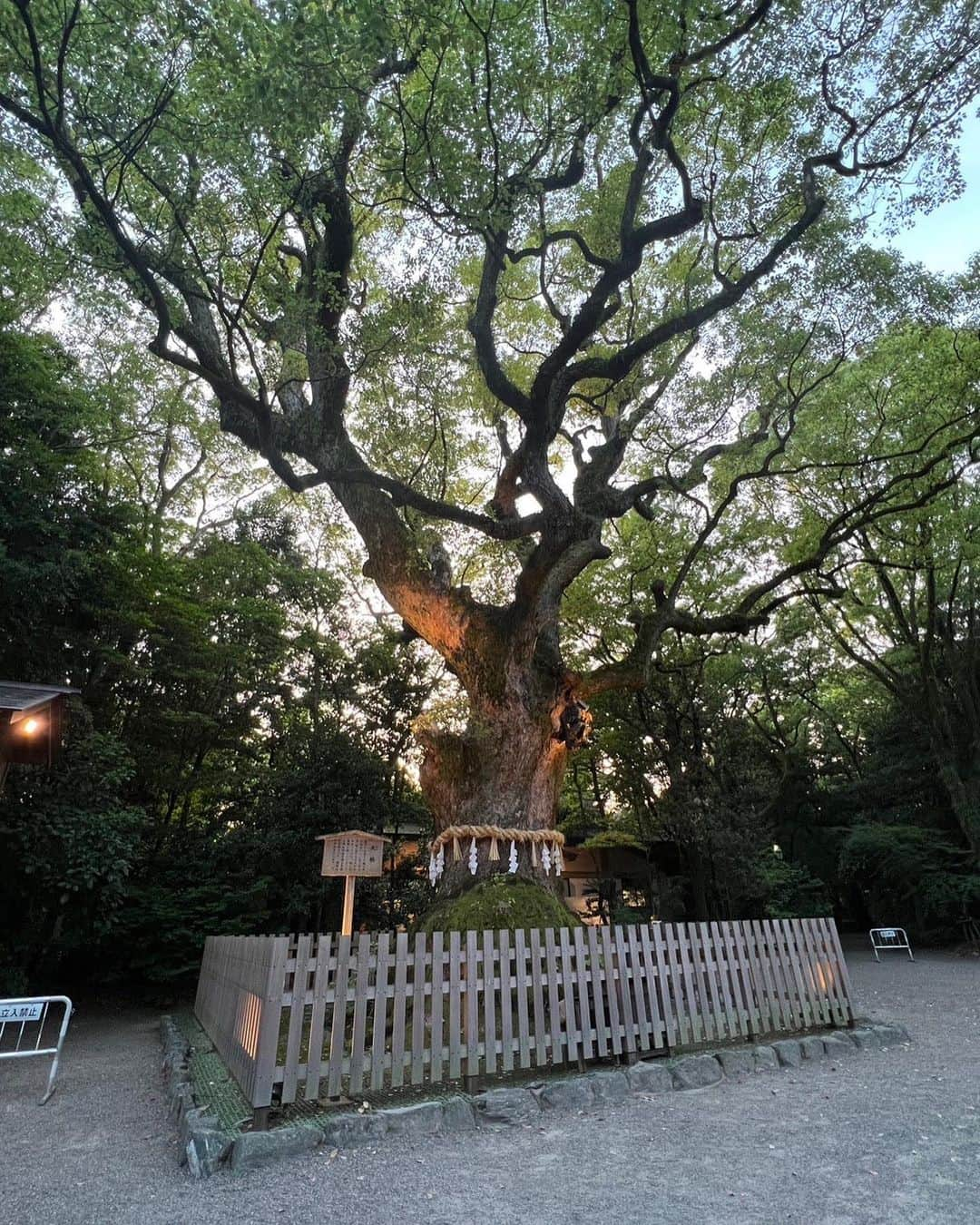 寺田有希のインスタグラム：「先日、名古屋出張がありました。  当日入りもできたけど、 せっかくなので前乗りをすることに🚄✨  初めて、熱田神宮に行った。 境内に入った瞬間、 大きな卵でケチャップライスを包み込むがごとく、 ぶわっと、 大きな何ものかに包まれたような。 そんな気がしました。  行ってよかった。  パワーをもらったあとに食べた、 あつた蓬莱軒のひつまぶしは格別でした🤤✨ 本店まで行った甲斐があったぜ！！！  はあ、名古屋さいこー！！✊  #熱田神宮 #あつた蓬莱軒 #あつた蓬莱軒本店 #ひつまぶし #名古屋 #名古屋グルメ #女子旅 #ひとり旅 #フリーランス #フリーランス女子 #寺田有希 #teradayuki」