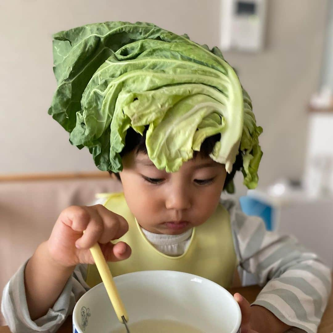 せとたけおのインスタグラム：「キャベツの葉っぱって、  帽子にもなるんだね。  でも食事中は、  帽子は脱ごうね。  #3歳児」