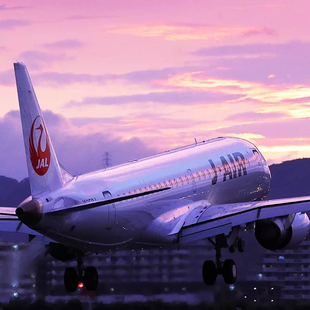 JALさんのインスタグラム写真 - (JALInstagram)「. 機体に映る #マジックアワー の空✈︎ #NoPlanNoProblemJune . . Photo by @take787chan Post your memories with #FlyJAL  #JapanAirlines #JAL #airplane #✈︎ #伊丹空港 #航空写真 #夕焼け #絶景 #鶴丸 #飛行機 #飛行機写真 #飛行機撮影 #飛行機のある風景 #飛行機のある空 #飛行機好き #空港 #旅行 #日本航空」6月6日 17時30分 - japanairlines_jal