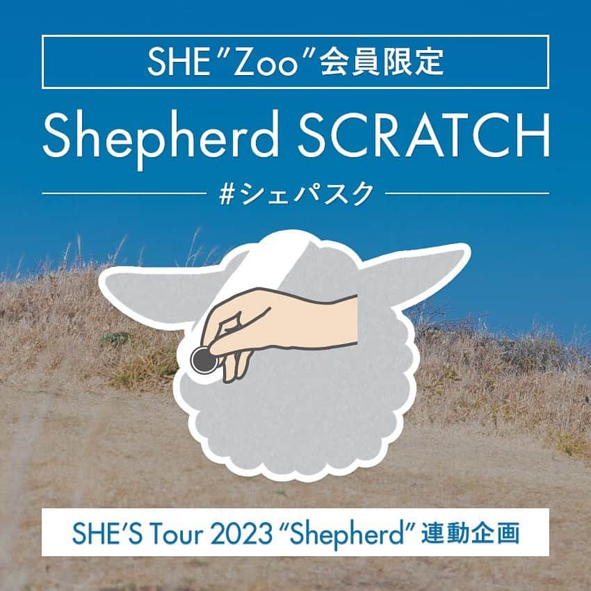 SHE'Sさんのインスタグラム写真 - (SHE'SInstagram)「《SHE“Zoo”会員限定企画》   ① 🎯ツアー連動モバイルくじ🎯  「SHE’S Tour 2023 “Shepherd”」と連動したモバイルくじ「Shepherd SCRATCH（シェパスク）」の実施が決定しました。 各ツアー公演日の11:00〜23:59の間、1日1回参加可能。 抽選で豪華賞品があたります。  公演当日にSHE"Zoo"サイトTOPに表示されるバナーよりご参加ください🐵。  ② 📖 「SHE“図〜”鑑」📖   SHE“Zoo” 開設5周年を記念した特別企画「SHE“図〜”鑑」が公開になりました。 皆さんから送っていただいた質問を元に、ほかでは見ることのできない“濃〜密なプロフィール”が完成しました。 たくさんのご参加ありがとうございました！  ぜひじっくりとお楽しみください。   ※モバイルくじ/SHE“図〜”鑑 の参加・閲覧にはオフィシャルファンクラブ SHE"Zoo"への加入が必要です。  #SHE_S_Shepherd #SHEZoo」6月6日 18時05分 - she_s_official