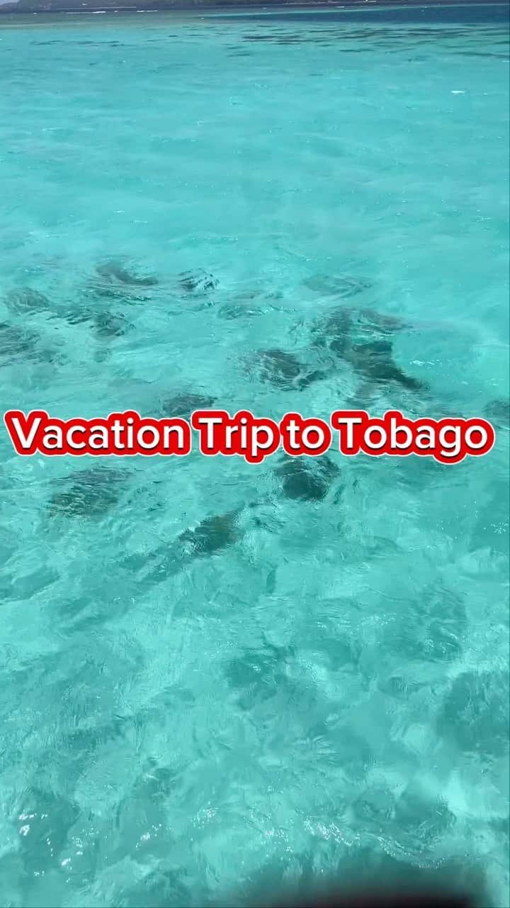 アニカ・オヌオラのインスタグラム：「It’s been a minute since I’ve ventured to the Caribbean and what a trip Tobago was! So much to see and do on the island. Beautiful people, elite food and good vibes. Did I mention how clear the water is?? The photos don’t do it justice.  Having withdrawal symptoms 😭 so drop a comment on where to venture on my next Caribbean adventure 👇🏾👇🏾👇🏾  #travel #vacation #photography #holiday #tobago #travelgram #destination #vacationmode #travelnoire #blacktravelfeed #aryglefalls #fyp #beach #reels #trinidad」