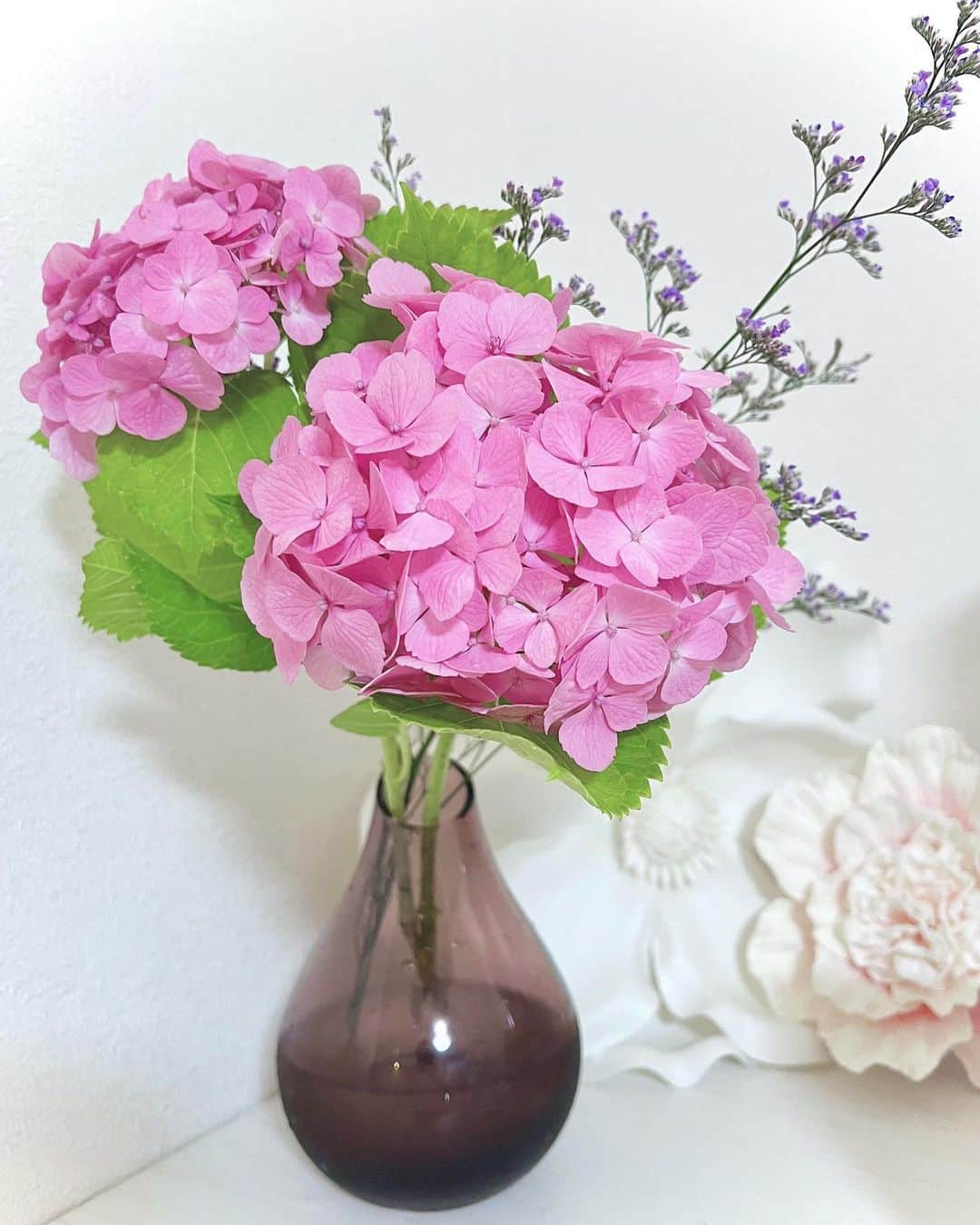 鈴木望のインスタグラム：「6月の「6」がつく日は 紫陽花の日なんですって🌱 ⁡ ピンクの紫陽花飾ったよー🩷 ⁡ #花言葉　は #元気な女性 ⁡ #6月　#紫陽花　#あじさい #お花  #ピンクの紫陽花」