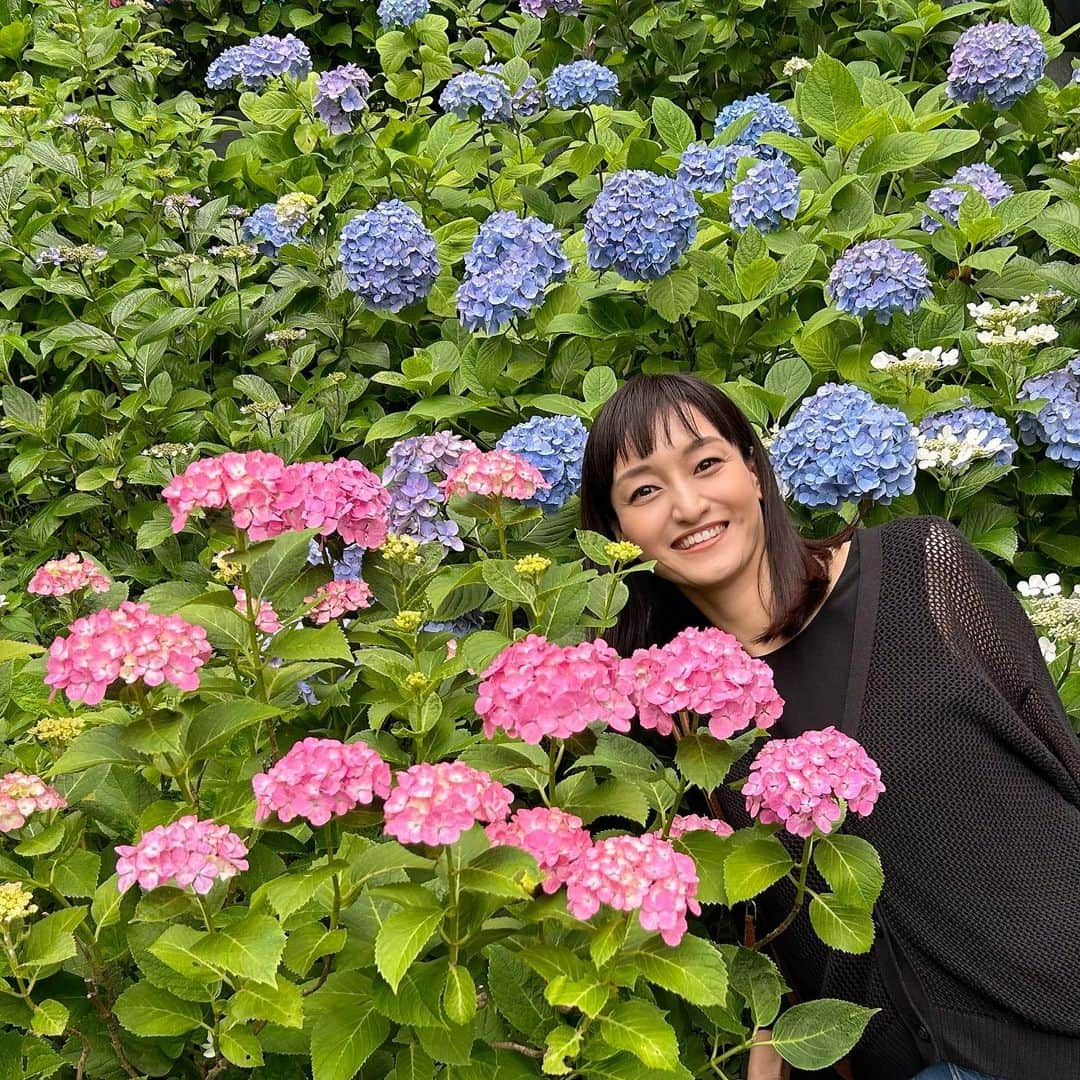 瑞羽奏都（水谷美月）のインスタグラム：「長谷寺の紫陽花✨  まだ6分咲きだったけど、十分満喫できました🎶コロナ前に母と来て以来だったけど…いつ来ても綺麗👏 でも、紫陽花と写真撮るのは…難しいですね(笑)皆が写真撮ってるスポットに立ったんだけど…なんか、紫陽花に埋もれるみたいなことになりました😂私の立ち位置の問題か…？  #紫陽花 #アジサイ #あじさい #長谷寺 #長谷寺の紫陽花 #鎌倉」