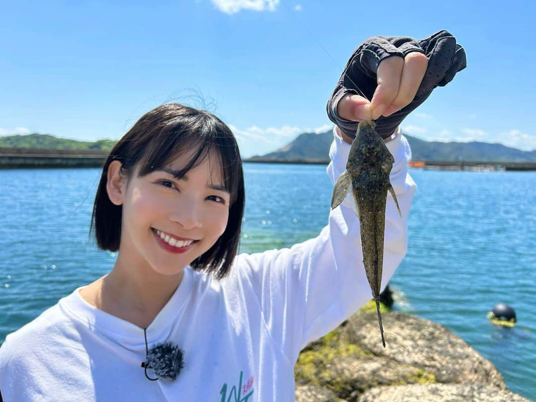 阪本智子さんのインスタグラム写真 - (阪本智子Instagram)「🎣♡  先日のちょい投げ釣りでは、 シロギス、カワハギ、チャリコ、クサフグ、メゴチ、イトヒキハゼが釣れました😆🎵  ５目達成嬉しかったな✨  何が釣れるかわからないワクワク感が最高ですね😍🩷  #ちょい投げ #カワハギ #シロギス #釣り旅行 #釣り女子 #阪本智子」6月6日 18時12分 - tomoko_sakamoto423