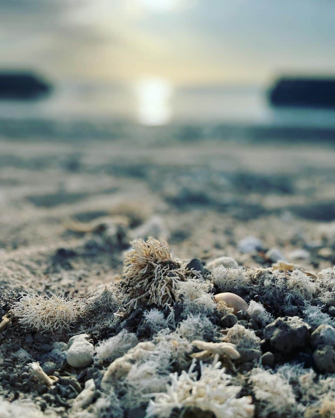 山本美月のインスタグラム：「⋆⸜☾⸝‍⋆ 6月16日公開 映画『忌怪島』  現場の近くの砂浜。 なんだか色んなものが混ざった砂浜。 美しかった。   #忌怪島」