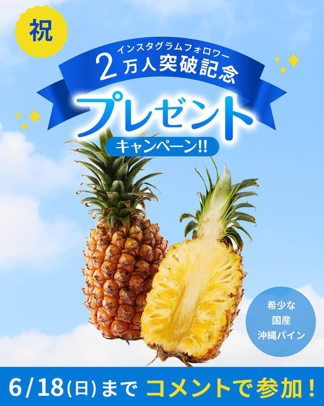 らでぃっしゅぼーやのインスタグラム：「\2万人分のありがとう！/ 沖縄パインプレゼントキャンペーン🍍  2016年７月のらでぃっしゅぼーや公式アカウント開設から約7年。皆様のおかげでフォロワー数2万人突破いたしました！感謝の気持ちを込めて、このたび5名様にらでぃっしゅぼーやで大人気の沖縄パインをプレゼントいたします！  国産のパインは流通量5％以下※と非常に希少。沖縄の温暖な土地でじっくりと育ちました。濃厚な甘みとジューシーさを楽しめる、初夏にピッタリの味わいです♪ ※令和元年農林水産省調べ  ＜参加方法＞ ・らでぃっしゅぼーや公式アカウント（@radishboya1988）をフォロー ・本投稿に、「らでぃっしゅぼーやのInstagramに期待すること」をコメント ※ストーリーズ投稿は含みません。 ※らでぃっしゅぼーや会員様でなくても参加可能です。  ＜募集期間＞⁣ 6/6(火)～6/18(日) ⁣ ＜賞品＞⁣ 沖縄パイン1個 ※プレゼント品は予告なく変更する場合がございます。  ＜当選者数＞⁣ 5名様 ⁣ ＜当選者様へのご連絡＞⁣ 当選者の⽅には2023年6月19⽇(月)頃に Instagram上のDMにてご連絡致します。⁣ DMを受け取れる設定への変更をお願いいたします。⁣  ＜ご注意＞⁣ ＊同一の応募者様から複数アカウントを使用しての応募を確認した場合、1アカウントの応募のみを有効とみなし、それ以外の応募は無効といたします。⁣ ＊選考時に、アカウントフォローの状態を維持いただいていることが確認できない場合、キャンペーンの対象から外れることがあります。 ＊本キャンペーンは予告なく中止または変更させていただく場合がございます。⁣ ＊応募受付の確認・選考方法・当選・落選・配送時の事故や破損等についてのご質問、お問い合わせは受け付けておりません。⁠⁣ ＊日本国外にお住まいの方に対しては、当選しても配送できません。国内にお住まいのフォロワー様限定のキャンペーンです。⁣ ＊未成年者の方は、親権者に同意いただいたものとみなします。 ＊再選考は行いません。⁣ ＊アカウントを非公開設定にしている場合はキャンペーン対象外となります。⁣ ＊下記に当てはまる場合、ご当選の資格は無効となります。⁣ ・応募に際し、不正行為があったと当社が判断した場合⁣ ・通信環境の良くない状態にありDMが不着となった場合⁣ ・ご当選通知のDMに対し返信期限までに手続きを履行いただけない場合⁣ ・登録内容に不備があった場合⁣ ・住所/転居先不明または長期不在などにより、賞品がお届けできなかった場合⁣ ＊賞品の返品・交換・配送業者より弊社に返品されてからの再配送、はできませんのでご了承くださいませ。⁣ ＊賞品発送後の賞品による損害等の責任については、弊社は一切負いかねます。予めご了承ください。⁣ ＊賞品の転売は禁止させていただきます。⁣ ＊賞品のお届けは2023年6月下旬を予定しております。⁣ ＊やむを得ない事情などにより、賞品の発送時期は変更となる場合がございます。⁣ ＊本キャンペーン参加にあたって生じるインターネット接続料や通信料、ご当選通知メールに記載の手続を履践するにあたって生じる諸費用は、ご本人様の負担となります。  #らでぃっしゅぼーや #沖縄パイン　 #沖縄パインプレゼント #プレゼント  #プレゼント企画  #プレゼントキャンペーン  #懸賞」