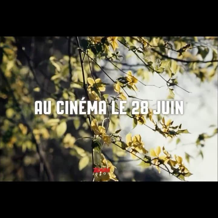 祷キララのインスタグラム：「🌺🎥🇫🇷 #Repost @survivance_distribution with @use.repost ・・・ ✨ 𝐘𝐀𝐌𝐀𝐁𝐔𝐊𝐈 de Juichiro Yamasaki, au cinéma le 2 août.  🇯🇵 un film envoûtant et mystérieux, aux profondeurs insoupçonnées, situé dans un Japon méconnu.  🎬 Sélection - @association_acid - #cannes2022  #yamabuki @juichiro_yamasaki #juichiroyamasaki @inori.kilala #kilalainori #yohtakawase @wada.misa #misawada #masakimiura #acid #cannes2022 @iffr #iffr #cinemajaponais #cinemaindependant #filmjaponais #filmindependant #japon #maniwa #coree #asiedusudest #villeminiere #mines @hanabi_community」