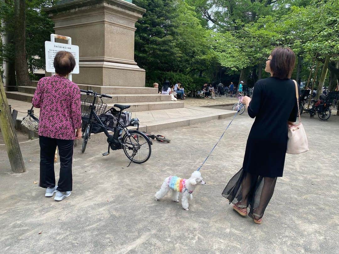 NAOMIさんのインスタグラム写真 - (NAOMIInstagram)「夕方 バァバとてん散歩🐾  有栖川宮さまの像を見上げるバァバ👁️  てん散歩中に，Cafeで一休み。  今回の東京滞在は長く、良く歩きますね。 偉い母82歳👏  🤱 🤱 🤱 #親娘歴59年 #同じ辰年 #離れて暮らして41年 #頑張って母♡ #てん散歩🐾」6月6日 19時45分 - naominakano703