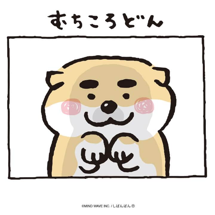 オオゴシヤステルのインスタグラム：「🟠199話🟠  むちころどん  【過去マンガはこちら】 👉 #しばんばんまんが  #今日のしばんばん #しばんばん #shibanban #むちころばんばん #muchicorobanban #微笑柴犬 #マインドウェイブ #mindwave #オオゴシヤステル #柴犬 #しばいぬ #柴犬との暮らし」