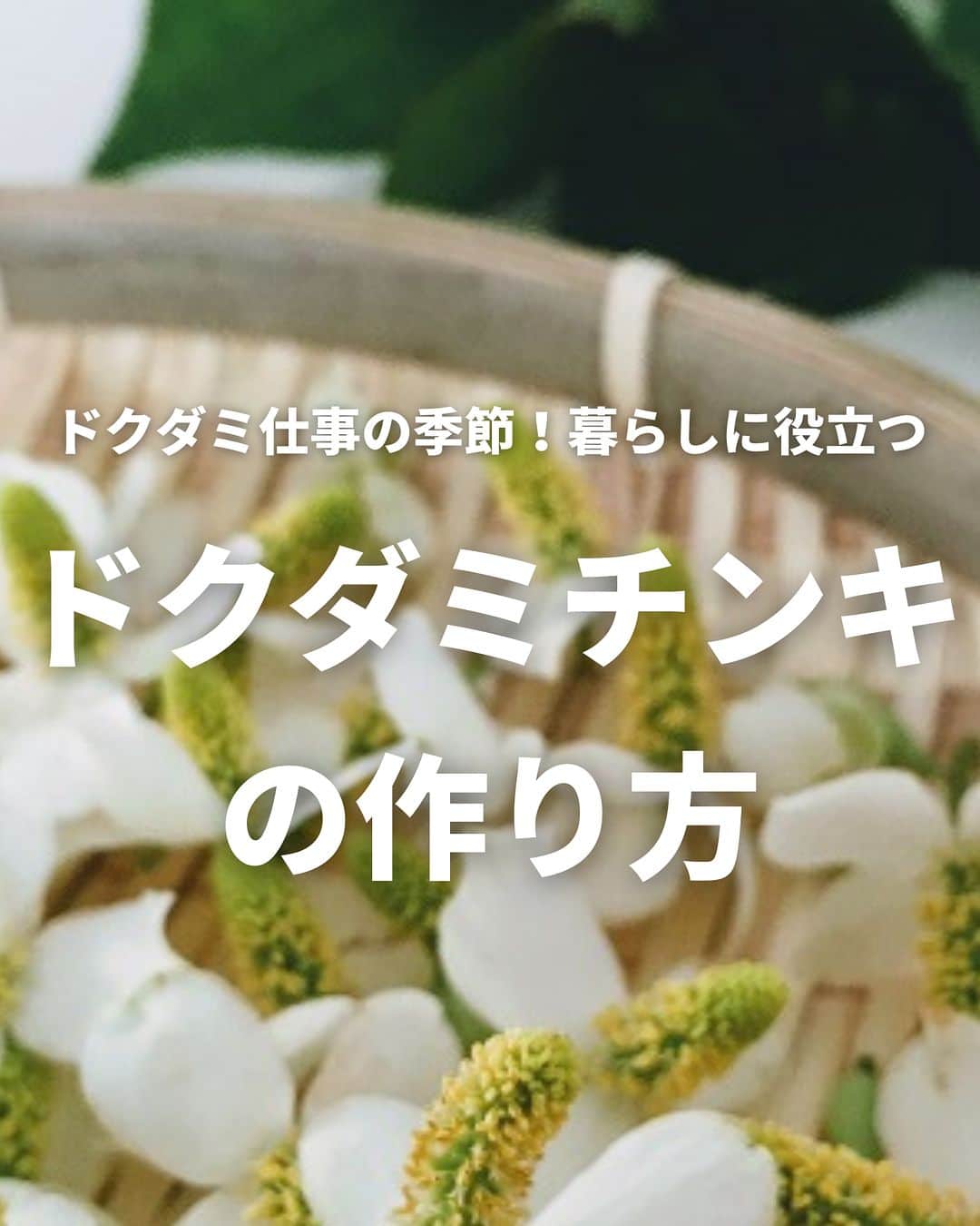 LOVEGREEN -植物と暮らしを豊かに。のインスタグラム