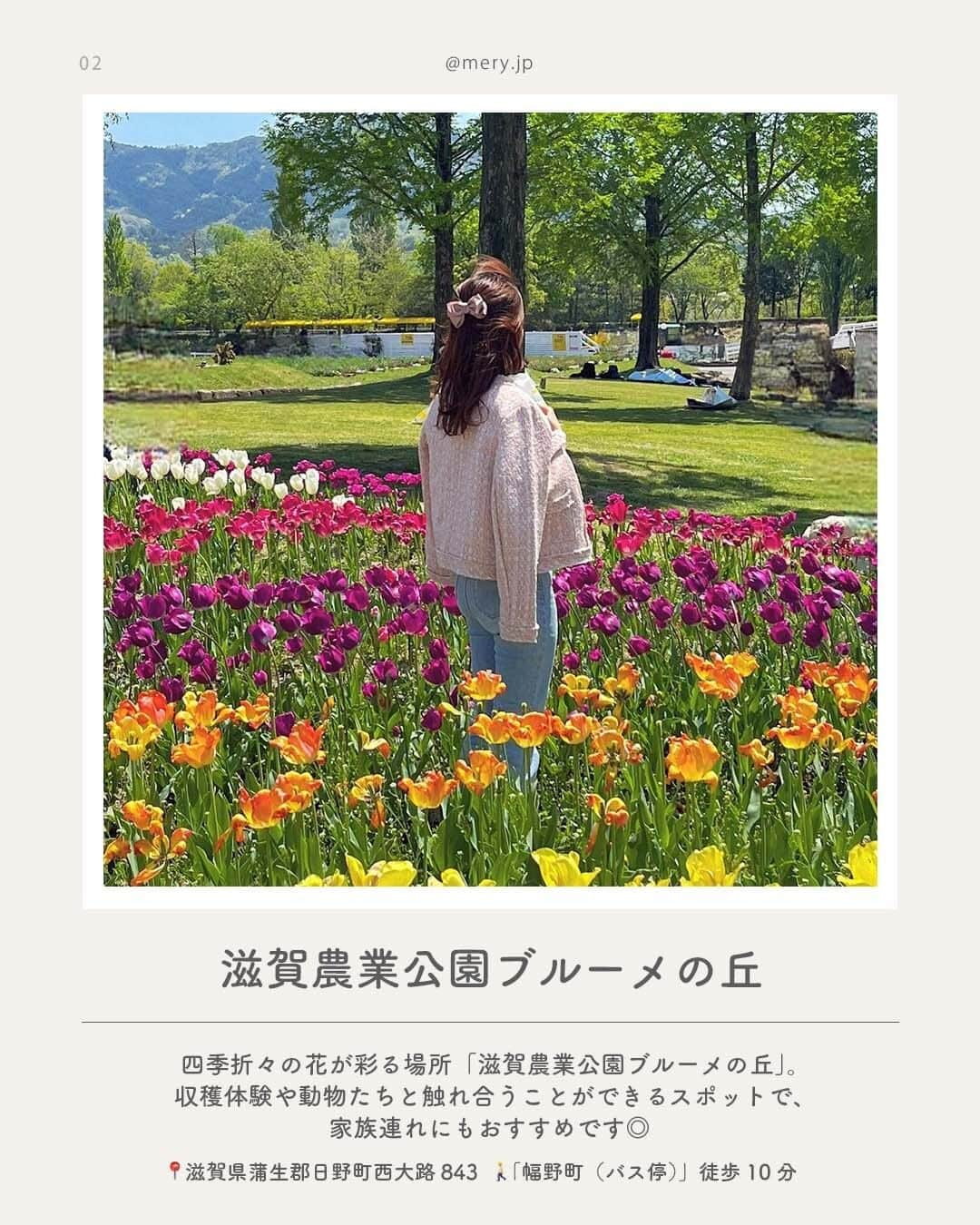 MERYさんのインスタグラム写真 - (MERYInstagram)「自然豊かでリフレッシュにぴったり♡滋賀県でやりたいことLIST  滋賀県といわれて想像するものといえば、やっぱり琵琶湖！ですが、ほかにも自然豊かなスポットがたくさんあり、リフレッシュするのにうってつけの県なんです🤍 今回は滋賀県のおすすめスポットを7つご紹介します✈️保存して、遊びに行くときの参考にしてね🧷  ♡｜滋賀県でやりたいことLIST #ローザンベリー多和田 （ @rosa_and_berry_tawada ） #滋賀農業公園ブルーメの丘 （ @blumenooka ） #ラコリーナ近江⼋幡 #近江神宮 #シャーレ水ヶ丘 #びわ湖バレイ #セトレマリーナびわ湖 （ @hotel_setre_marina ）  photo by @h.fuka___ @yon_sweets @663__mt @am1219n @aic.88_xx @design.trip @megu.03_03  MERYでは他にも「かわいい」に近づけるさまざまな情報を発信しています。⁣ @mery.beauty コスメ・美容に特化した情報をお届け♡ @mery_giftsalon 選りすぐりのギフトを提案🎁 こちらもぜひチェックしてみてください！⁣  #滋賀県 #滋賀 #滋賀旅行 #国内旅行 #旅行 #女子旅 #カップル旅行 #カップル旅 #おでかけスポット #おすすめスポット #観光スポット #滋賀ホテル #滋賀カフェ #パワースポット #花畑 #お花畑 #神社 #神社巡り #ひつじのショーン #ちはやふる #聖地巡礼 #琵琶湖 #クラブハリエ」6月6日 21時00分 - mery.jp