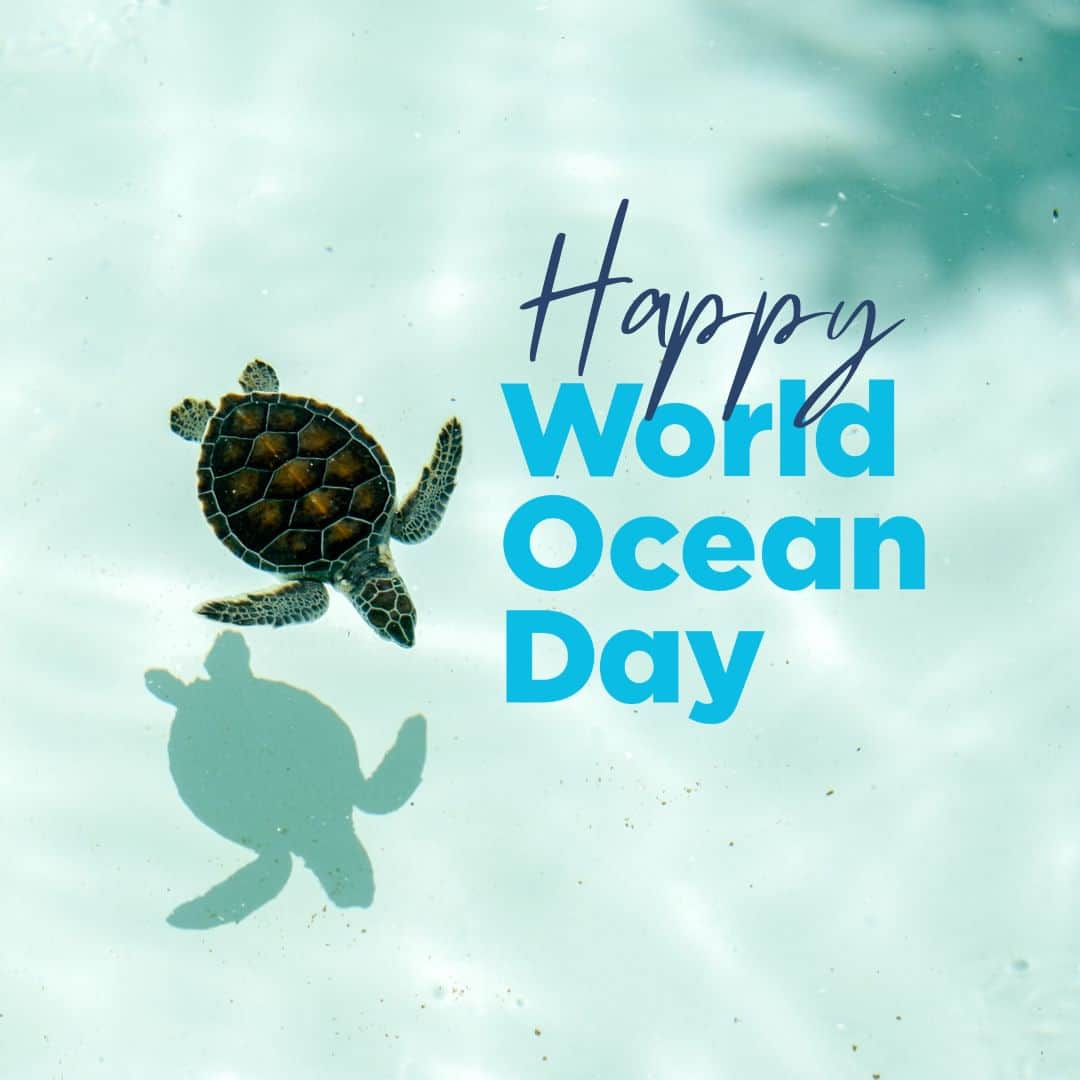 ANA.IC.MANZA.BEACH.RESORTさんのインスタグラム写真 - (ANA.IC.MANZA.BEACH.RESORTInstagram)「6月8日は、World Oceans Day（世界海洋デー）。国連により制定された国際デーです。その名前の通り海洋問題について考える日です。  ダイビング・シュノーケリングの国際基準「グリーン・フィンズ(Green Fins)」に参画するなど、世界基準のエコリゾートを目指すANAインターコンチネンタル万座ビーチリゾートでは、8日当日のマリン＆ビーチアクティビティの収益の一部をサンゴの保護活動を行う団体「チーム美らサンゴ」へ寄付いたします。当日参加の皆さまには、アクティビティを楽しむことで、海を守る活動にご参加いただけます。  そのほか、ダイビングスタッフによるサンゴの苗床の清掃ボランティア活動や、従業員でサンゴの苗作りを行い、苗作りに必要な備品と一緒に「チーム美らサンゴ」へ寄付する予定をしております。  かけがえのないこの海を未来へ繋ぐため、何をすべきか今一度考える機会にしてみてはいかがでしょうか。  Upcoming Thursday, June 8 is World Oceans Day. It is an international day established by the United Nations. As the name implies, it is a day to think about ocean issues.  ANA InterContinental Manza Beach Resort, which aims to be a world-class eco-friendly resort by participating in the "Green Fins" international standard for diving and snorkeling, will donate a part of the proceeds from marine and beach activities on the 8th to "Team Chura Sango," an organization that works to protect coral. All participants will be able to take part in activities to protect the ocean by enjoying the activities on the day.  In addition, our diving staff members will volunteer to clean coral nurseries, and our team will make coral seedlings and donate them and the equipment necessary to make the seedlings to "Team Chura Sango."  Why not take this opportunity to think once again about what we could do to protect this irreplaceable ocean for the future?  #InterContinentalANAManzaBeachResort #ANAInterContinentalManzaBeachResort #ManzaBeach #okinawajapan #okinawatrip #okinawahotelsnearbeach #visitokinawa #WorldOceansDay #ANAインターコンチネンタル万座ビーチリゾート #ANA万座ビーチリゾート #恩納村ホテル #恩納村リゾートホテル #万座ビーチ #ワールドオーシャンズデー #世界海洋デー #海が好きな人と繋がりたい」6月6日 21時00分 - ana.ic.manza.beach.resort