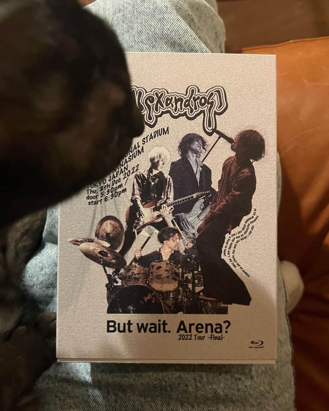 のインスタグラム：「#butwaitarena2022tourfinal   🐾」
