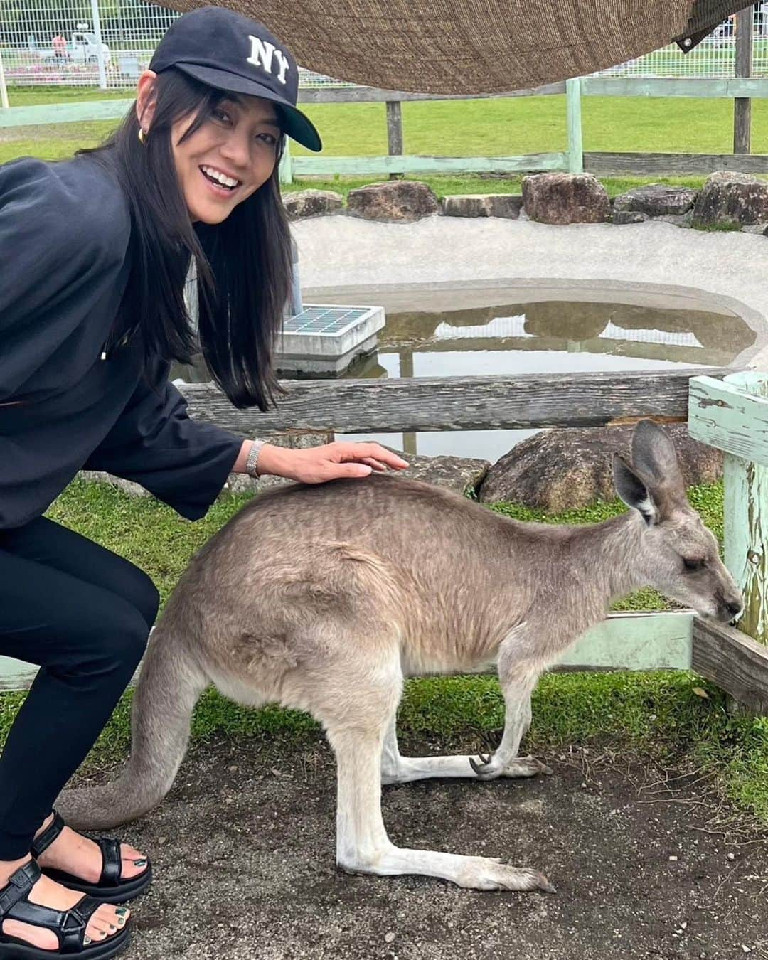 前田典子のインスタグラム