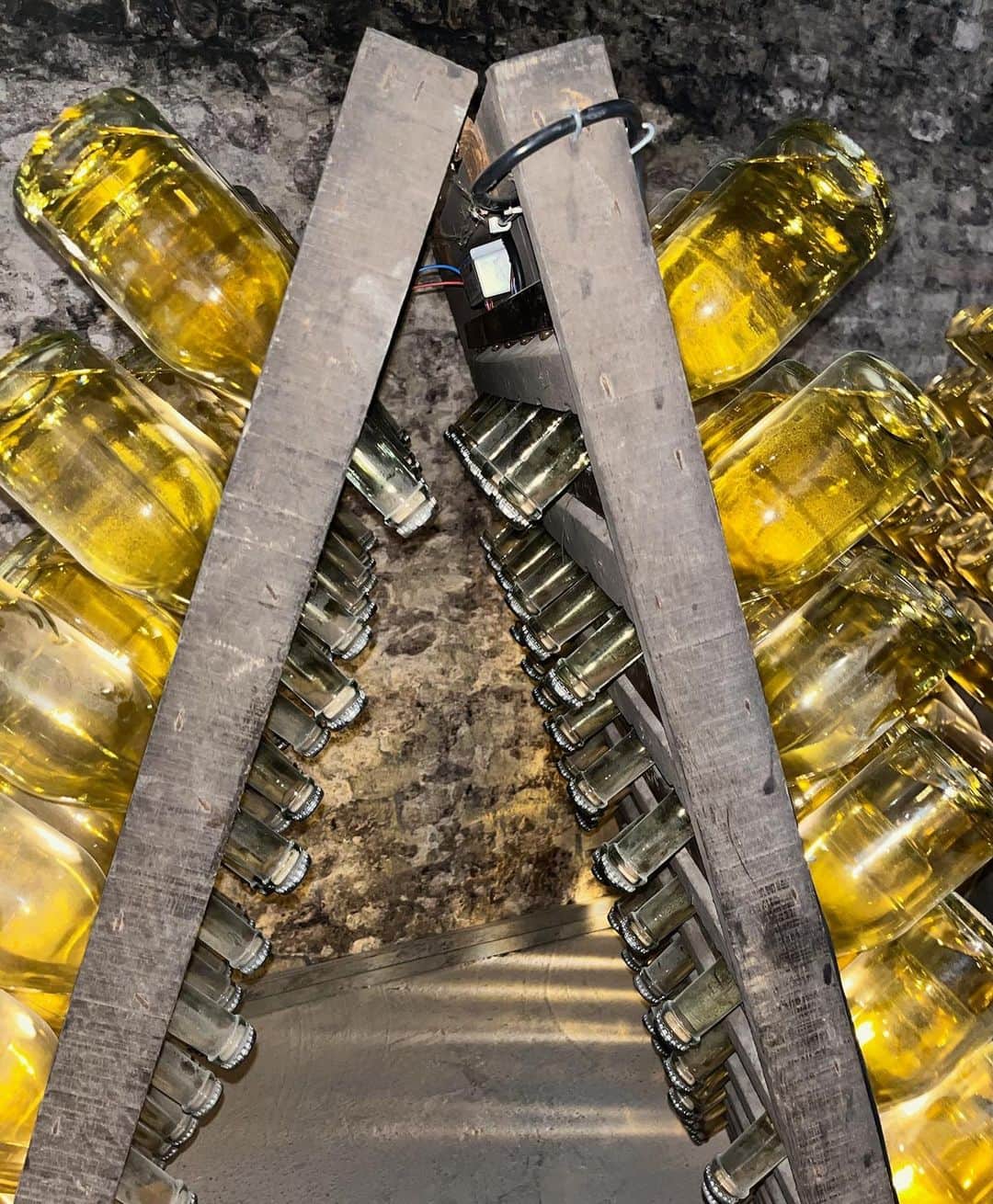 関谷亜矢子さんのインスタグラム写真 - (関谷亜矢子Instagram)「ワイン勉強中の私のために娘が予約してくれたウィーンにあるシュルンベルガーワインセラーの見学ツアー。  ひんやりとした地下蔵は、迷路のように続いて、神秘的でさえありました😃  シャンパーニュと同じ製法で作られている瓶内ニ次発酵のSekt(スパークリングワイン)のオーストリア最古の老舗メーカーでハプスブルク家御用達。  ルミアージュ、 デゴルジュマン、と 懐かしい🤣言葉を復習しながら、醸造を順を追って(日本語オーディオガイド付き)見ていき、 1年以上ニ次発酵させているキラキラのボトルたちを見た後は、うれしいテイスティングタイム🥂✨🥰  白2種、ロゼ1種を試飲した中で、オーストリアといえばこれ！のグリューナーフェルトリーナー100%のゼクトは、果実味豊かでありつつ、スパイシーさが感じられて美味しかった。 もう一つの白は シャルドネ、ピノ・ブラン、ヴェルシュリースリング ロゼは、 ピノ・ノワール、ツヴァイゲルト、ザンクト・ラウレントを使っています。 3月に二十歳になったばかりの娘は1杯のみ。 私も、チーズなどのお供なく、ワインだけを3杯のテイスティングは、なかなかの効き目でした🤣  娘、ありがとうー！ あとは試験頑張ってー👍  #シュルンベルガー  #schlumberger  #スパークリングワイン  #sekt  #ウィーン  #オーストリア  #ワインセラーツアー」6月6日 21時27分 - ayakosekiya.516