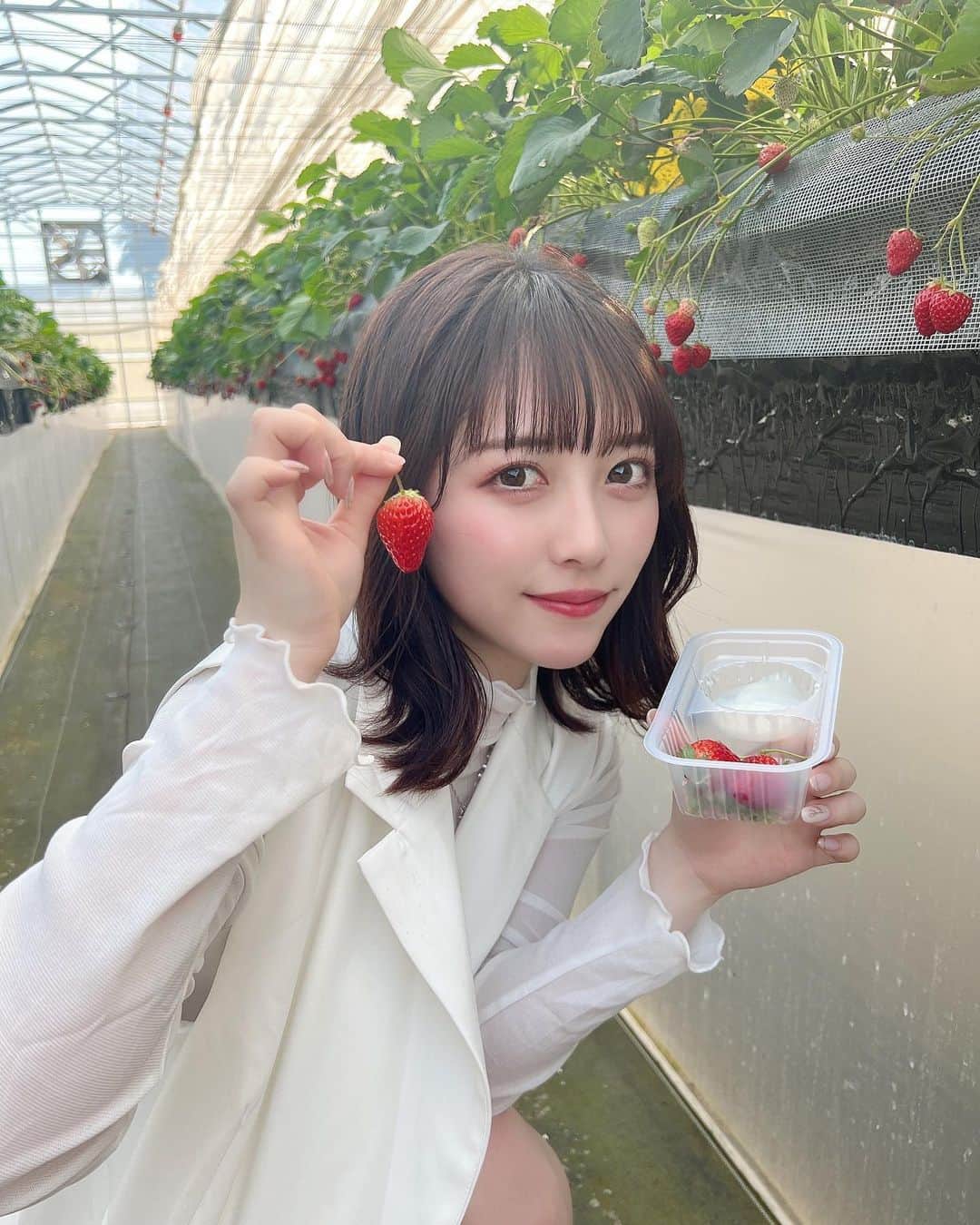保科凜のインスタグラム：「この前 いちご狩り行きました＾＾ 美味しいだった〜！  とってもいいところだった！！！ また行くなら絶対ここいく〜  ・ ・  #idol  #japaneseidol  #selfie  #like  #followme  #jd  #girl  #instagram  #ootd   #アイドル #ジャムズ #保科凜 # いちご狩り # いちご狩り食べ放題 #ふぁいんファーム」