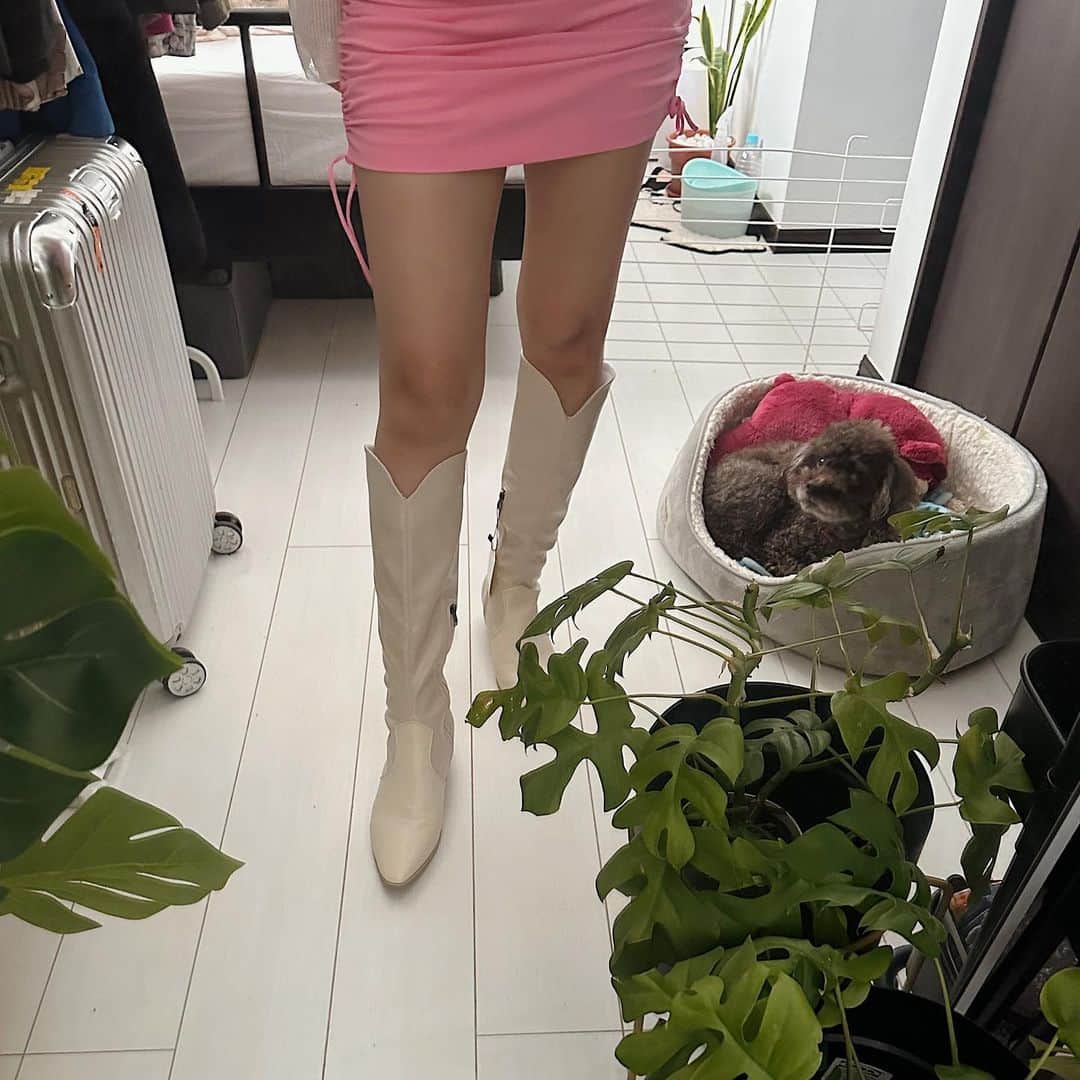 のインスタグラム
