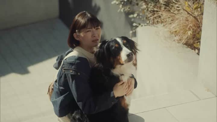 シッコウ!!〜犬と私と執行官〜のインスタグラム