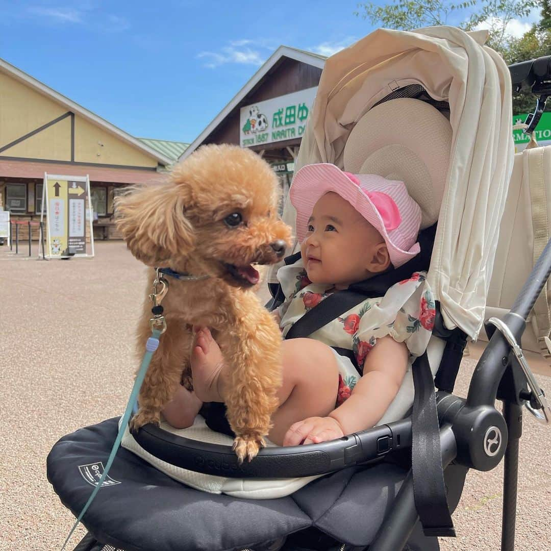 神田咲凛さんのインスタグラム写真 - (神田咲凛Instagram)「念願の牧場🐮🫶  弾丸で行くことになったので 牧場に行くにしてはファンシーな👗笑  今日こそ牛さんコスプレだろ！ って突っ込まれたけどそれな過ぎた🐄笑  楽しかったー🫶  . . . . . . . . . . . . . . . . . . . . . . . . . . . . . #成田ゆめ牧場 #牧場#千葉観光 #8ヶ月ベビー #8ヶ月baby #赤ちゃんのいる生活 #赤ちゃんのいる暮らし #赤ちゃんと犬 #赤ちゃんコーデ #赤ちゃん服#ベビー服 #ベビーカー #赤ちゃんとお出かけ #赤ちゃんと犬のいる生活 #ママライフ#ママファッション#ママコーデ#新米ママ#新米ママと繋がりたい #ベレー帽#抱っこ紐#抱っこ紐コーデ」6月6日 22時16分 - t12345vxq