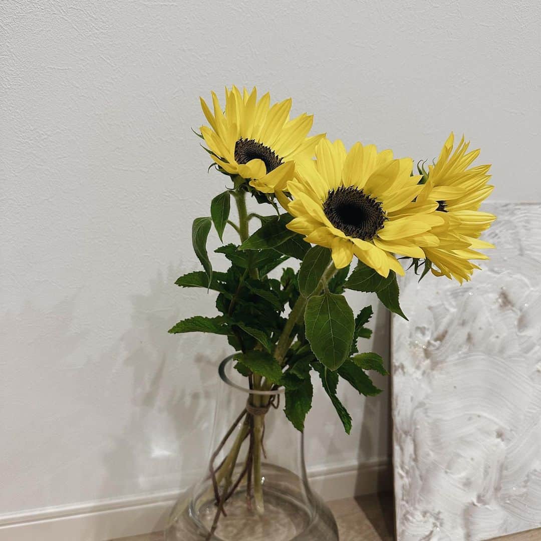 篠田このかのインスタグラム：「今月のおはな🌻 夏先取り🌻」