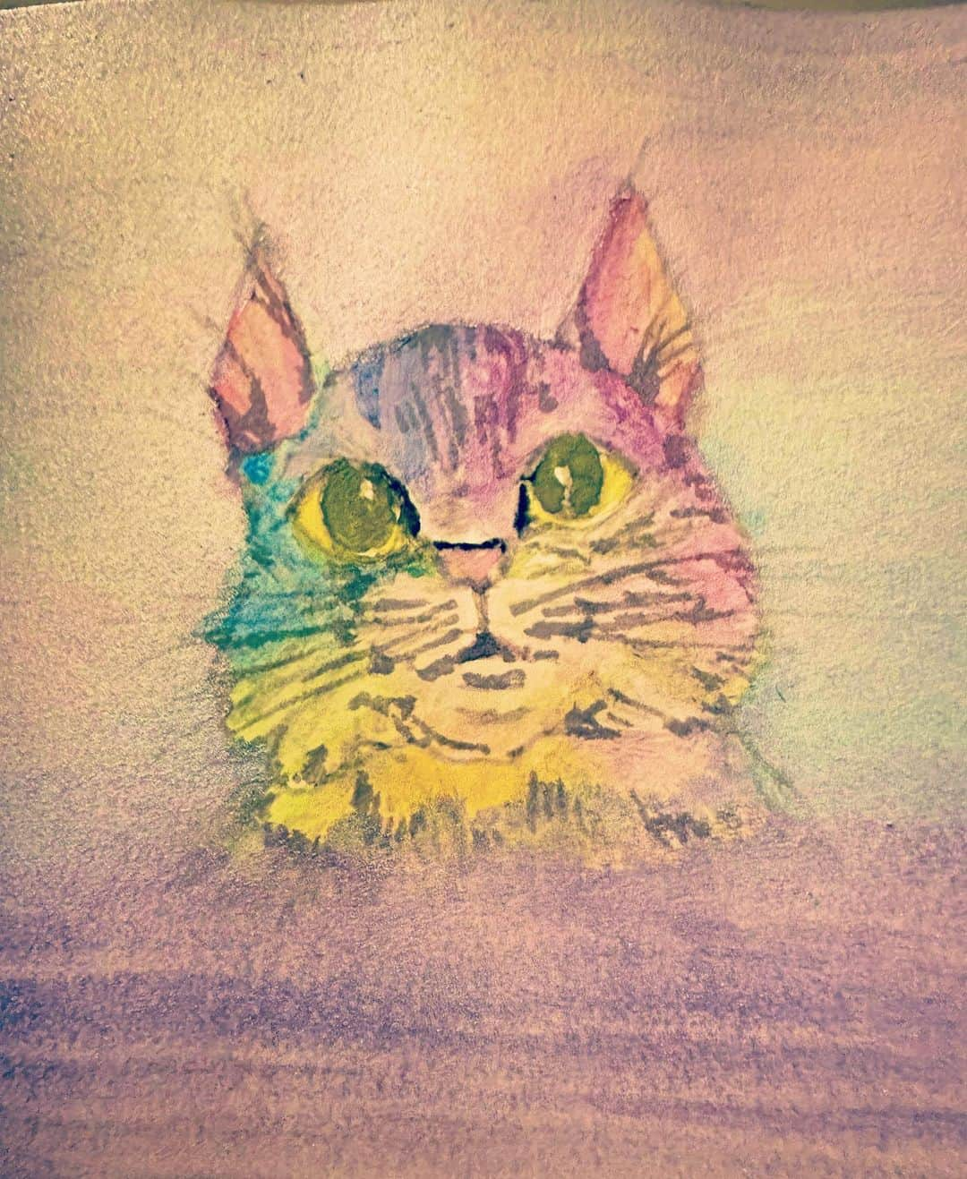 澤田友美のインスタグラム：「. rainbow cat 🌈🐈💕🎨 . . . #painting #cat #toybob #rainbow #magichour」