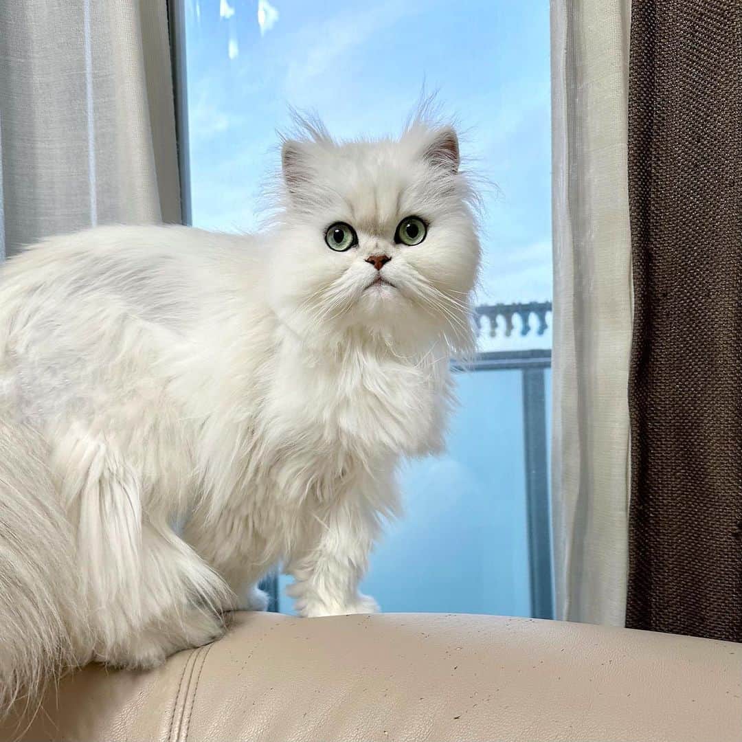 manami☺︎satoのインスタグラム