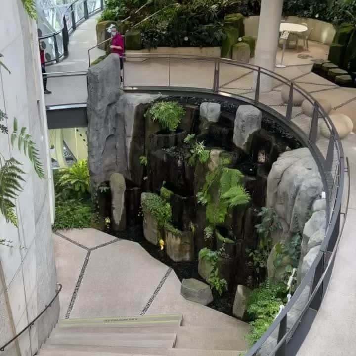 Amazonのインスタグラム：「What do you call a sleepy rainforest? A ‘pajamazon.’ 🤣  We’re celebrating the fifth birthday of The Spheres at our HQ in Puget Sound, WA, and so can you! Take a full tour at the link in bio, and be sure to add it to your Seattle bucket list. (Yes, it’s open to the public by reservation!)」