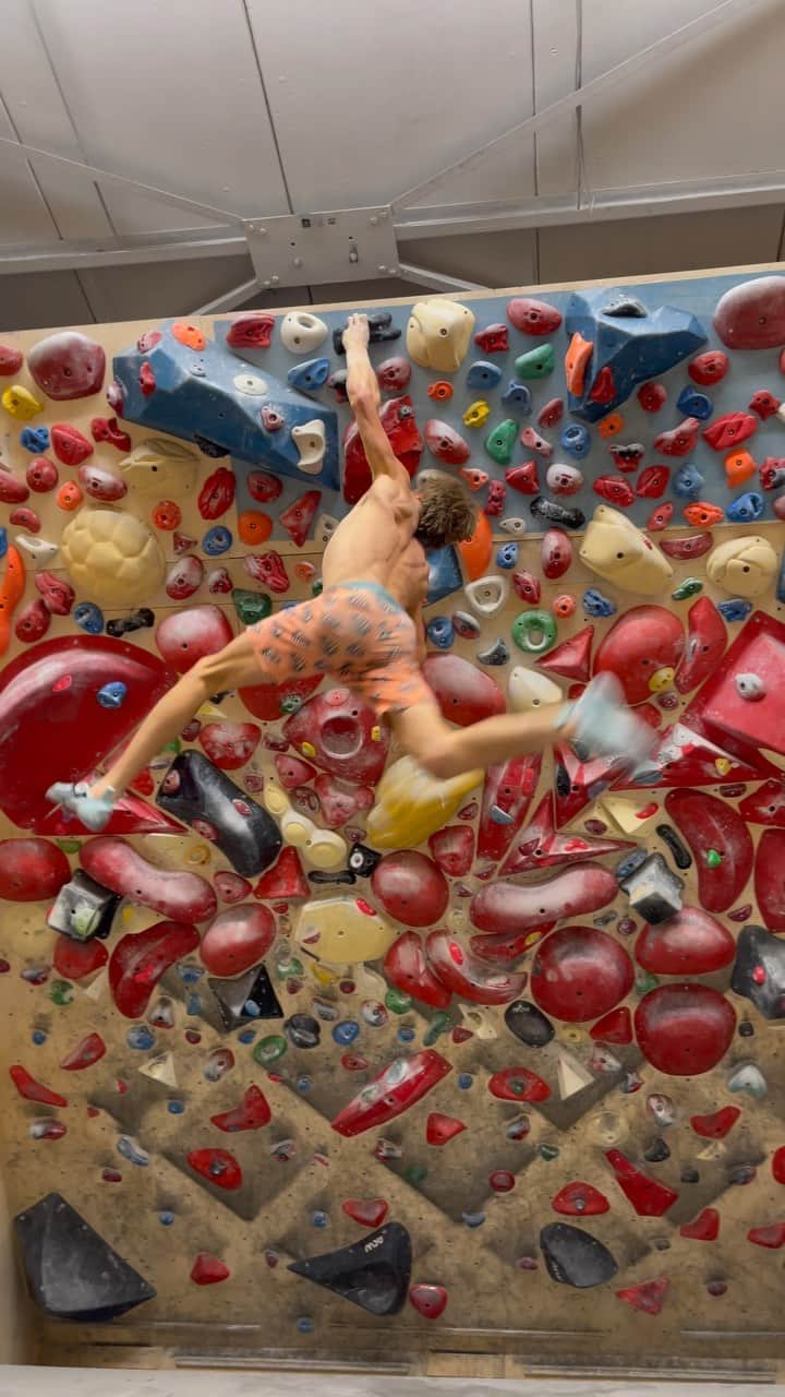 アレックス・メゴスのインスタグラム：「Besides the training for the upcoming bouldering world cups I also tried to incorporate the training for lead, as the lead season literally starts the day after the bouldering season finishes.  Good session today at @boulderhallee4 with a few comp style boulders and a 20 move circuit to finish off the day.   @patagonia_climb @petzl_official @tenayaclimbing @frictionlabs @fazabrushes @physivantage @tempehmanufaktur @cacaocrudo #stylefirst #carrotsforpower」