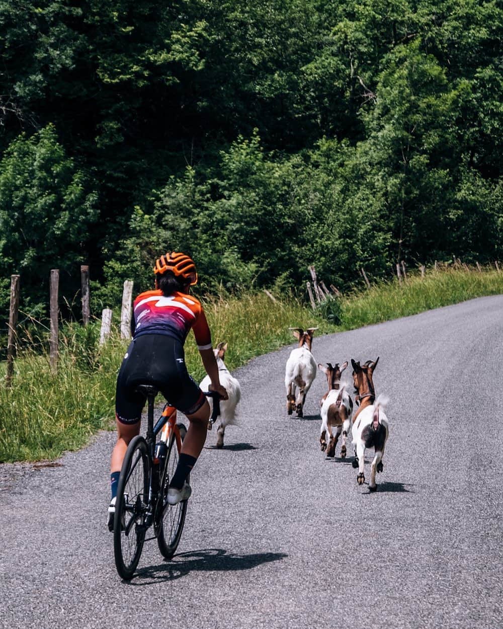 與那嶺恵理のインスタグラム：「🐐🐐💬Follow us 🐐🐐🐐  🚴🏻‍♀️Follow you ➿➿ . A day around Lourdes @tourismelourdes ⛲️🇫🇷  . . 📸: @oskarsbrook  #今日のエリさん　#HumanPoweredHealth」