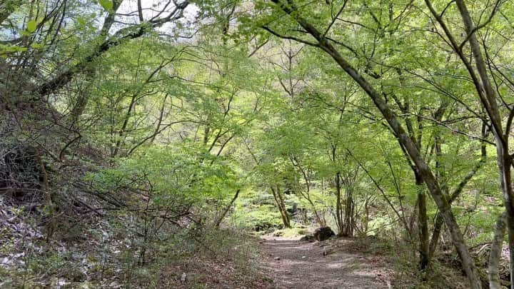 深沢邦之のインスタグラム：「こんな感じも投稿したりして😊 穏やかなひとときになれば😁 2枚目、3枚目 武甲山の登山を楽しんでいる俺👍 YouTubeにて 動画を配信していますので、良かったら覗いてくださいね😊 #深沢邦之チャンネル で検索してね✌️ チャンネル登録、高評価も宜しくでーす😁 #深沢邦之 #深沢邦之チャンネル #噂の東京マガジン #やってtry #登山#日本百名山 #武甲山 #自然 #癒し #チャレンジ #剣道 #リバ剣#出稽古#剣道五段 　　ふかふかチャオ」