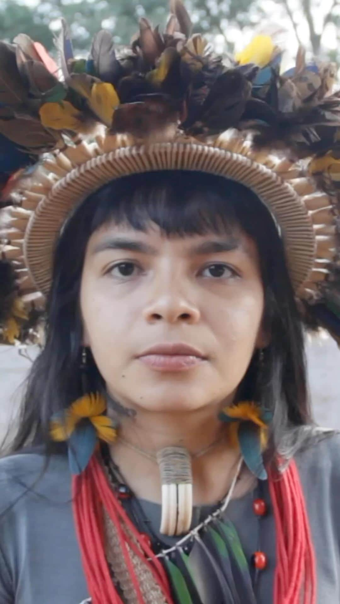 マーク・ラファロのインスタグラム：「The fate of the Amazon affects us all. @txaisurui’s fight is our fight too. #PL2903 #MarcoTemporal would open the door to irreversible destruction. @RodrigoPacheco, take action. Join the global community and sign the petition: together.earth (link in bio) #SaveTheAmazon」