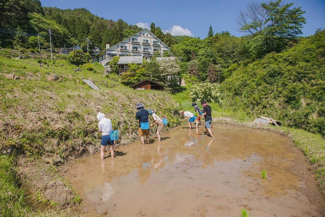 福田瞳さんのインスタグラム写真 - (福田瞳Instagram)「先週末は群馬の水上へ☺︎ @sanazawa_terrace さんで田植えを体験して来ました♡ 東京の大雨が嘘のように水上はめちゃくちゃ天気良くて最高でした♡ 2023.6.4 #群馬#水上#さなざわ㞢テラス  #田植え#田植え体験」6月7日 7時06分 - fukudahitomi610