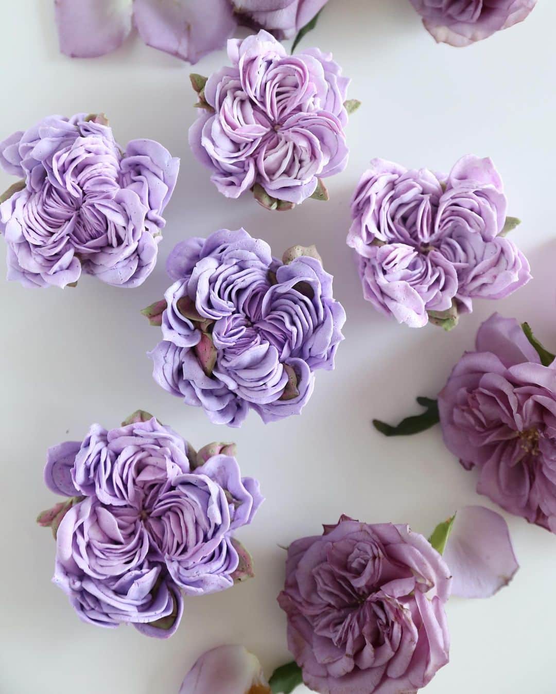 청담 수케이크 (atelier soo)さんのインスタグラム写真 - (청담 수케이크 (atelier soo)Instagram)「ㅡ 💜 Italian meringue buttercream #flowercake #cake #rose」6月7日 7時35分 - soocake_ully