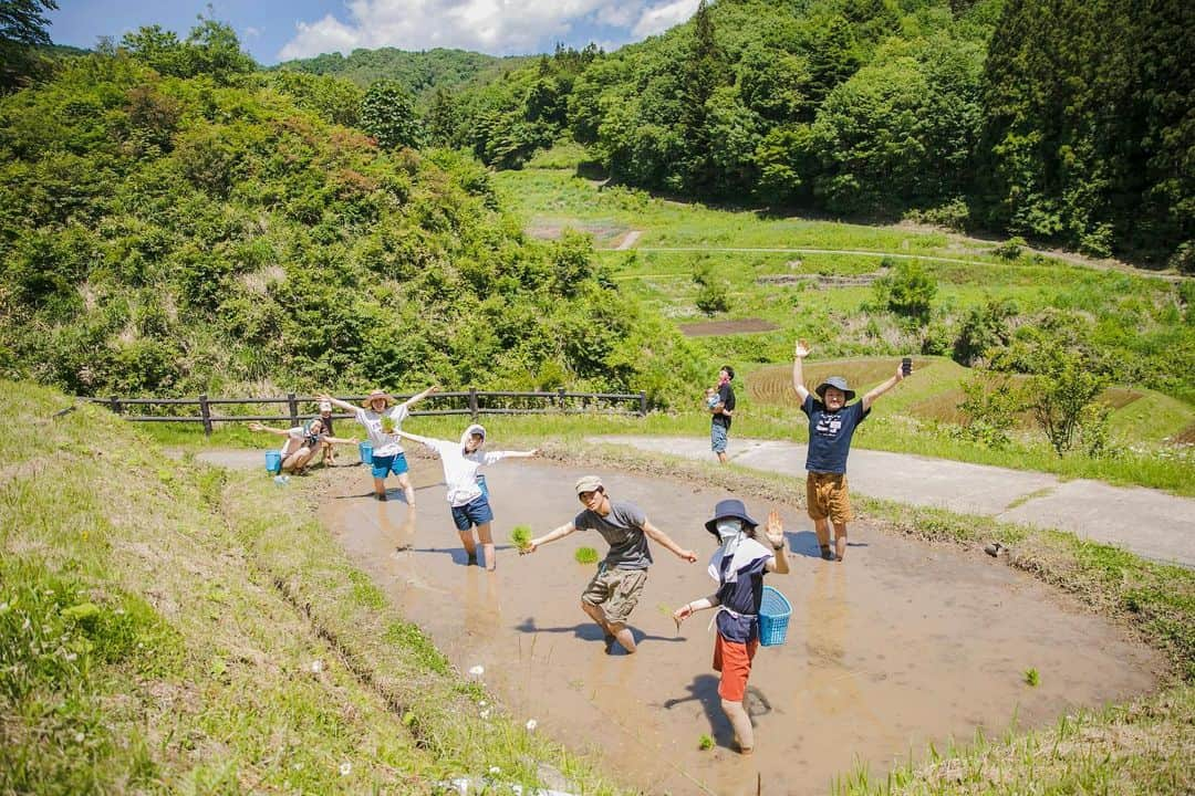 福田瞳さんのインスタグラム写真 - (福田瞳Instagram)「小学生ぶりに体験した田植え🌾 泥に足をつけた時、あ〜こんな感じだった〜🥺と、少し思いだしました。笑。水上は晴れていて日差しも強くてみんな汗だくだったけど、泥の下の方はひんやりしていて気持ちよかったです。 カエルが泳いでいたり、おたまじゃくしがいたり。 ザ、田んぼの真ん中でみんなで笑いながら作業したり、キッズたちに癒されたり。 とにかくとても楽しかった♡ うたも、足を泥につけたら笑ってた。覚えていないかもだけど、 草とか、田んぼの泥とか、なんか、感触というか、感覚は、たくさん経験させたいなぁ✨と改めて思いました☺︎ 誘ってくれたみなみちゃん @minamihaaaan を始め、参加者全員に大感謝🥺 @sanazawa_terrace のスタッフの方々にも大感謝です✨ めちゃくちゃいい経験を家族でさせてもらいました☺︎ 2023.6.4 . . #さなざわ㞢テラス #田植え#田植え体験#群馬 #田植えタイムラプス」6月7日 8時06分 - fukudahitomi610