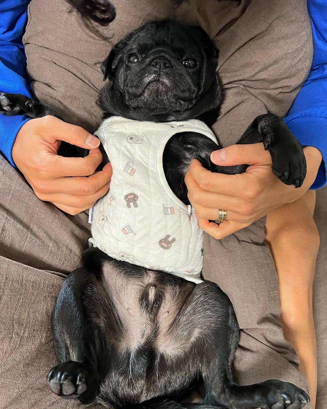 山口蛍のインスタグラム：「クロ5歳のお誕生日おめでとう🐶🎉🤝🏻 パパとママはいつもクロにたくさんの癒しと愛をもらってとっても幸せだよ😊 これからも元気で長生きしてね🙇‍♂️  #クロ#kuro#96」