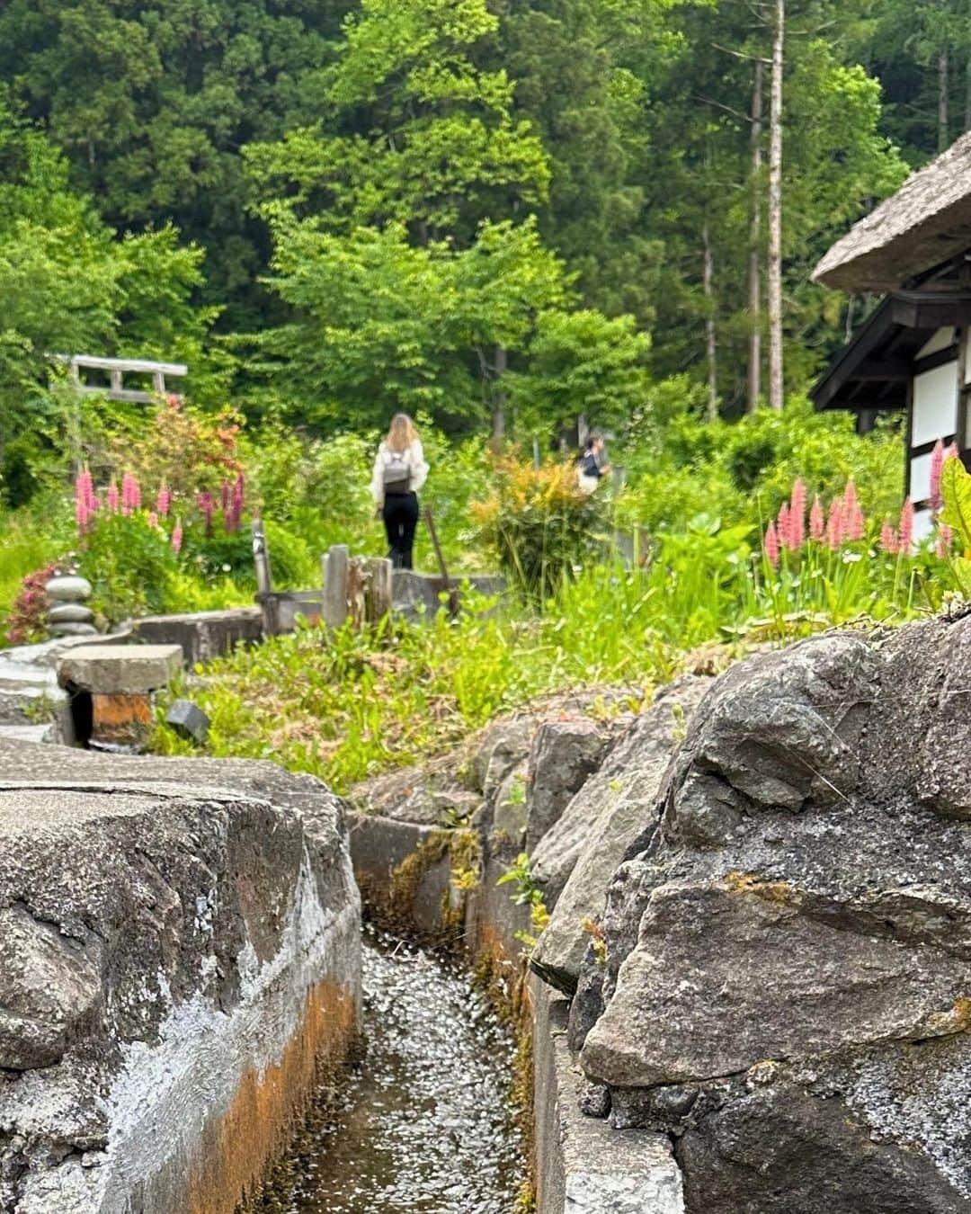 Rediscover Fukushimaさんのインスタグラム写真 - (Rediscover FukushimaInstagram)「Join us exploring a village that looks straight out of a fairy tale! 🛖✨  Last week we were live on Facebook from Maezawa Magariya Shuraku (Maezawa L-Shaped Farm Houses) in Minamiaizu town, in Southwestern Fukushima prefecture! (Located approx. 2 hours by car from Aizu-Wakamatsu City in Fukushima, or Nikko in Tochigi pref.!).  Things that made a stroll around Maezawa truly memorable include:  🛖Its unique L-shaped houses with thatched roofs  🍃Relaxing along to the peaceful sounds of nature, from birds chirping and frogs croaking, to the shushing streams and hissing forests  📸Climbing up through the forest to a viewpoint from where there is an unparalleled view of the entire village, which seems cuddled in a green blanket of forest-covered mountains  🌼Seeing its many colorful flowers currently in bloom!  Check out our livestream on Facebook, or visit our website for more information (link in stories)!   Would you like to visit this village? 🤩  #fukushima #visitfukushima #maezawa #maezawavillage #minamiaizu #travel #japantravel #japantrip #visitjapanjp #visitjapanau #visitjapanid #visitjapanes #visitjapanus #beautiful #beautifuljapan #traditionaljapan #japaneseculture #japancountryside #countrylife #lshapedhouse #architecturelovers #historylovers」6月7日 8時44分 - rediscoverfukushima