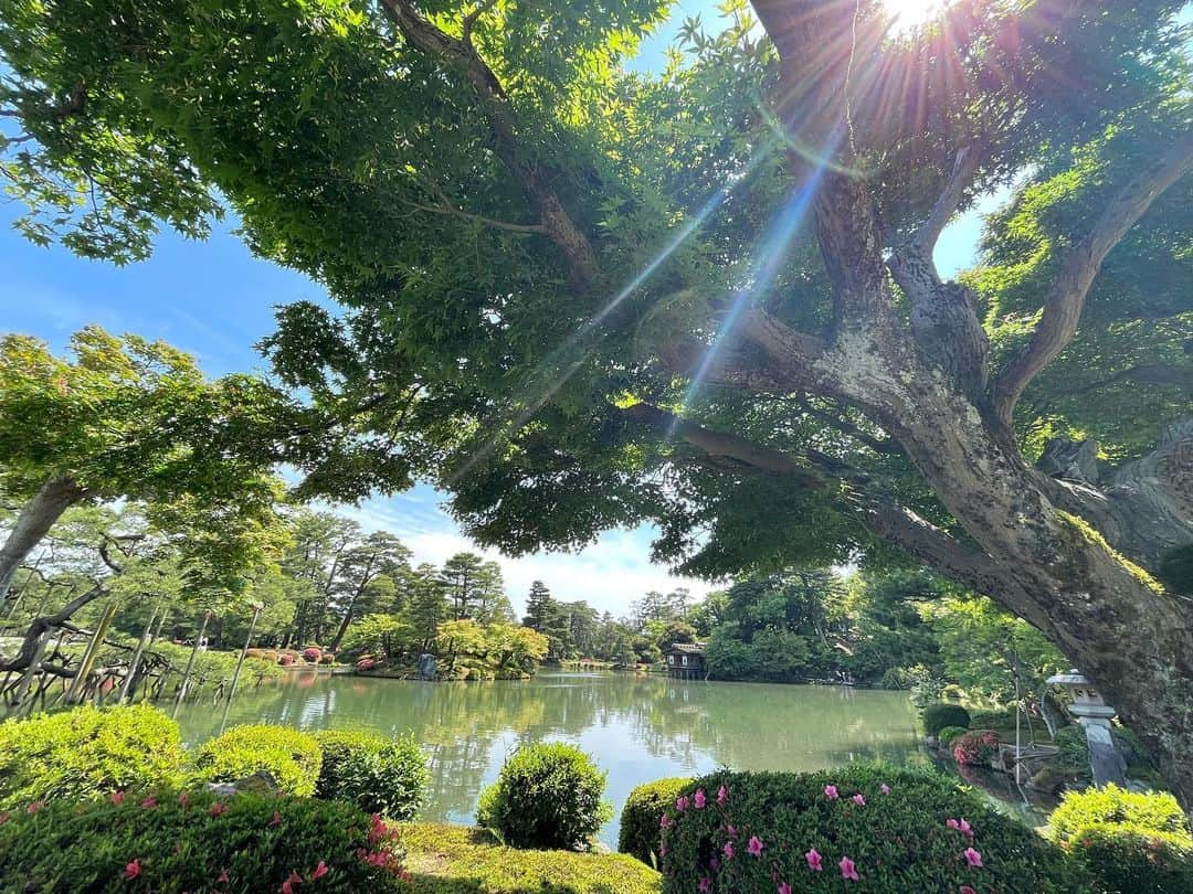 伶美うららのインスタグラム：「ちょこっと旅の思い出✨  いいお天気にも恵まれて、兼六園がどこを撮っても美しすぎて… 一枚目の写真は、今回の私のベストショットです📸✨✨  大さんが沢山写真をぱしゃぱしゃ撮ってくださりました〜🤩✨✨  #金沢旅 #兼六園  #金箔アイス 金箔が風でヒラヒラしてます🤭🍦」